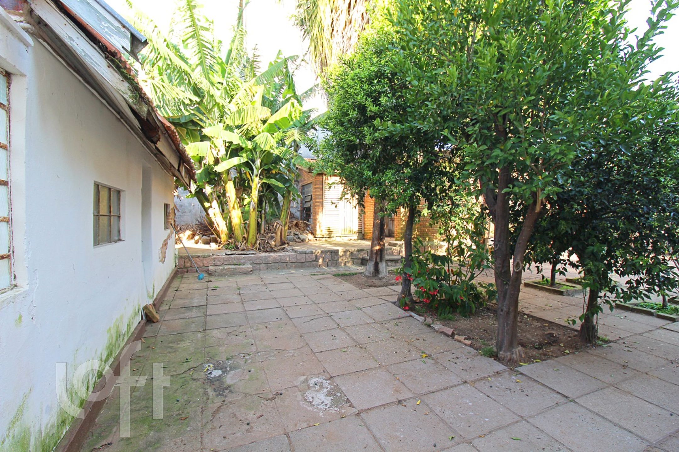 Imagem da propriedade 39