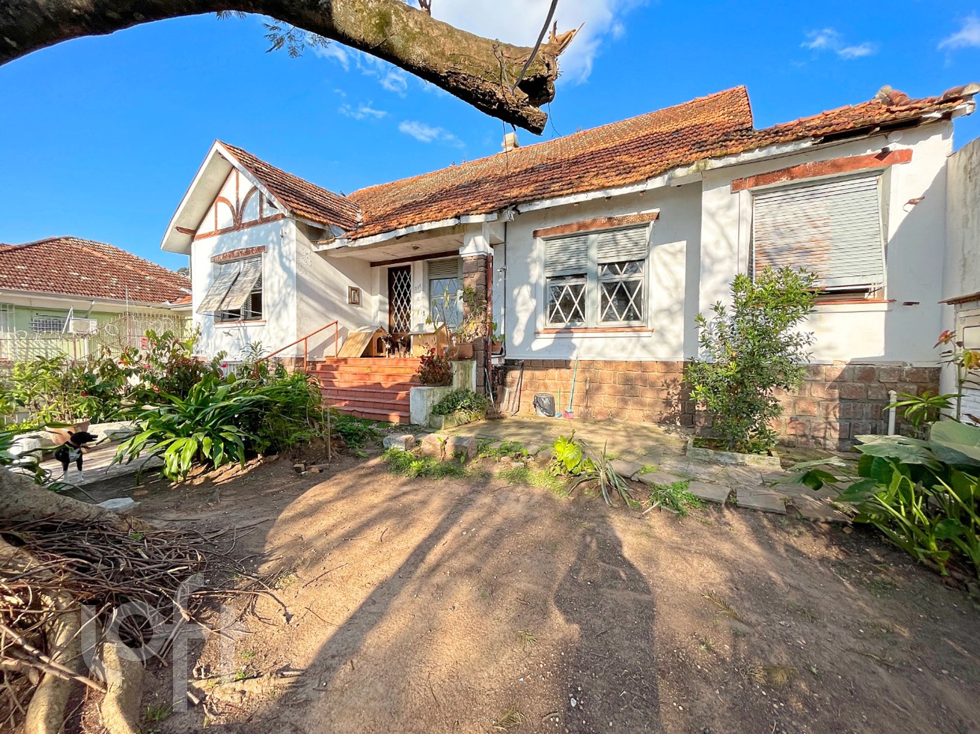 Imagem da propriedade 3