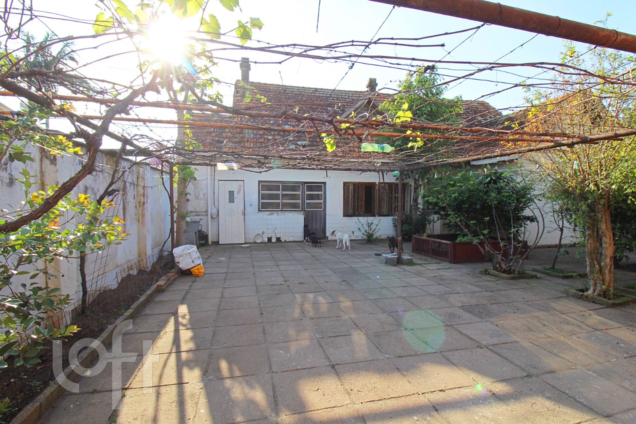 Imagem da propriedade 41