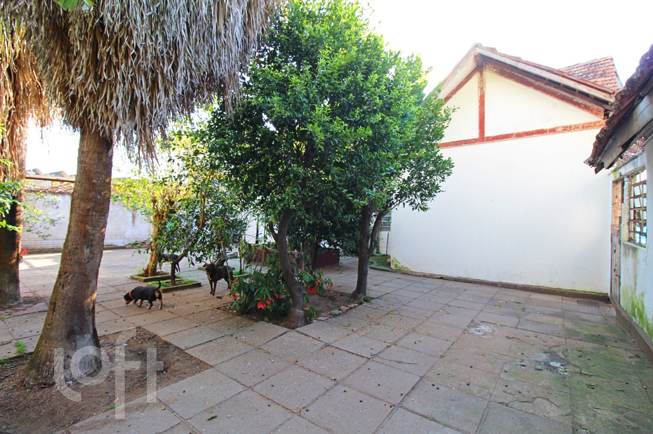 Imagem da propriedade 37