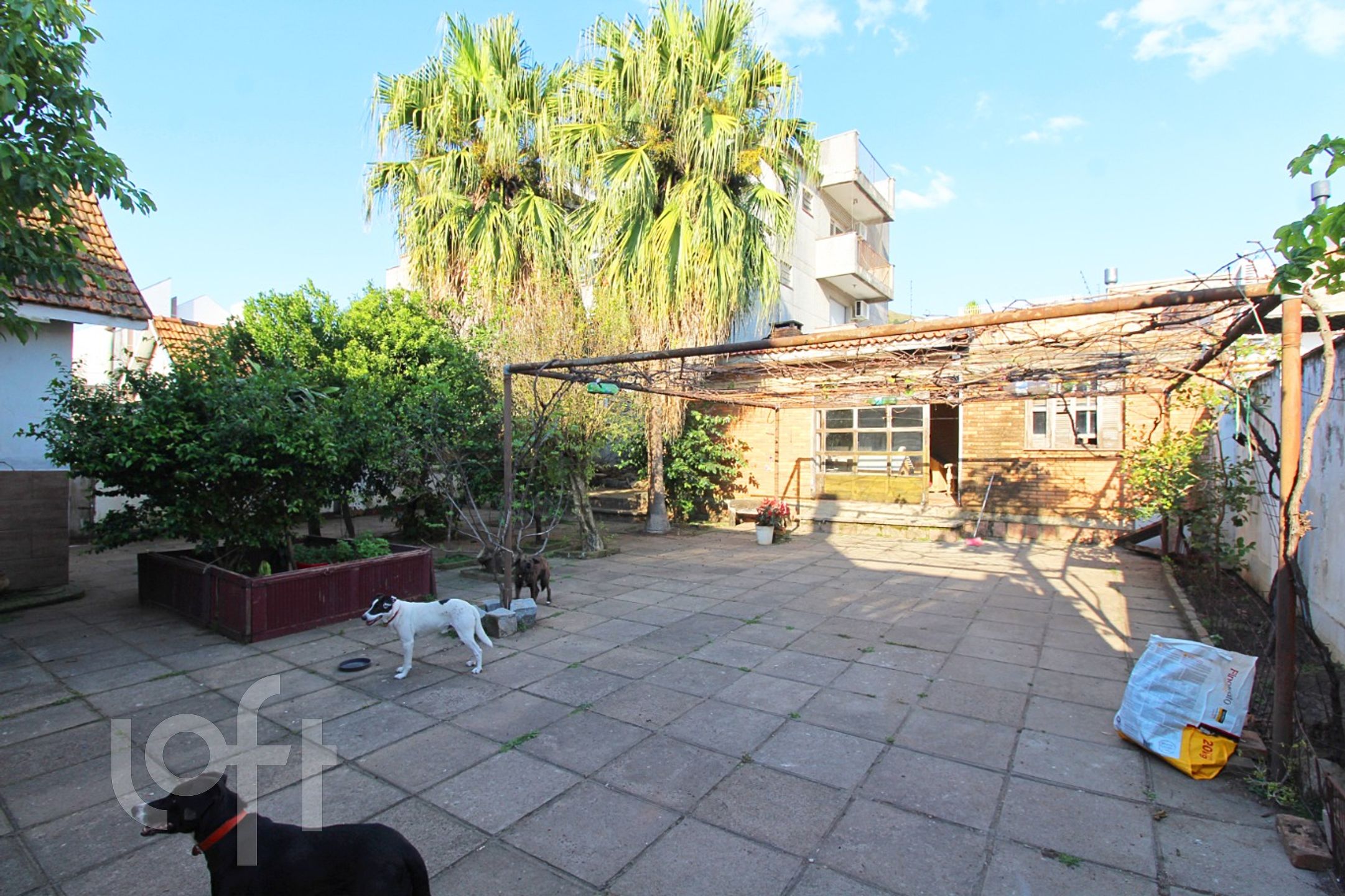 Imagem da propriedade 40