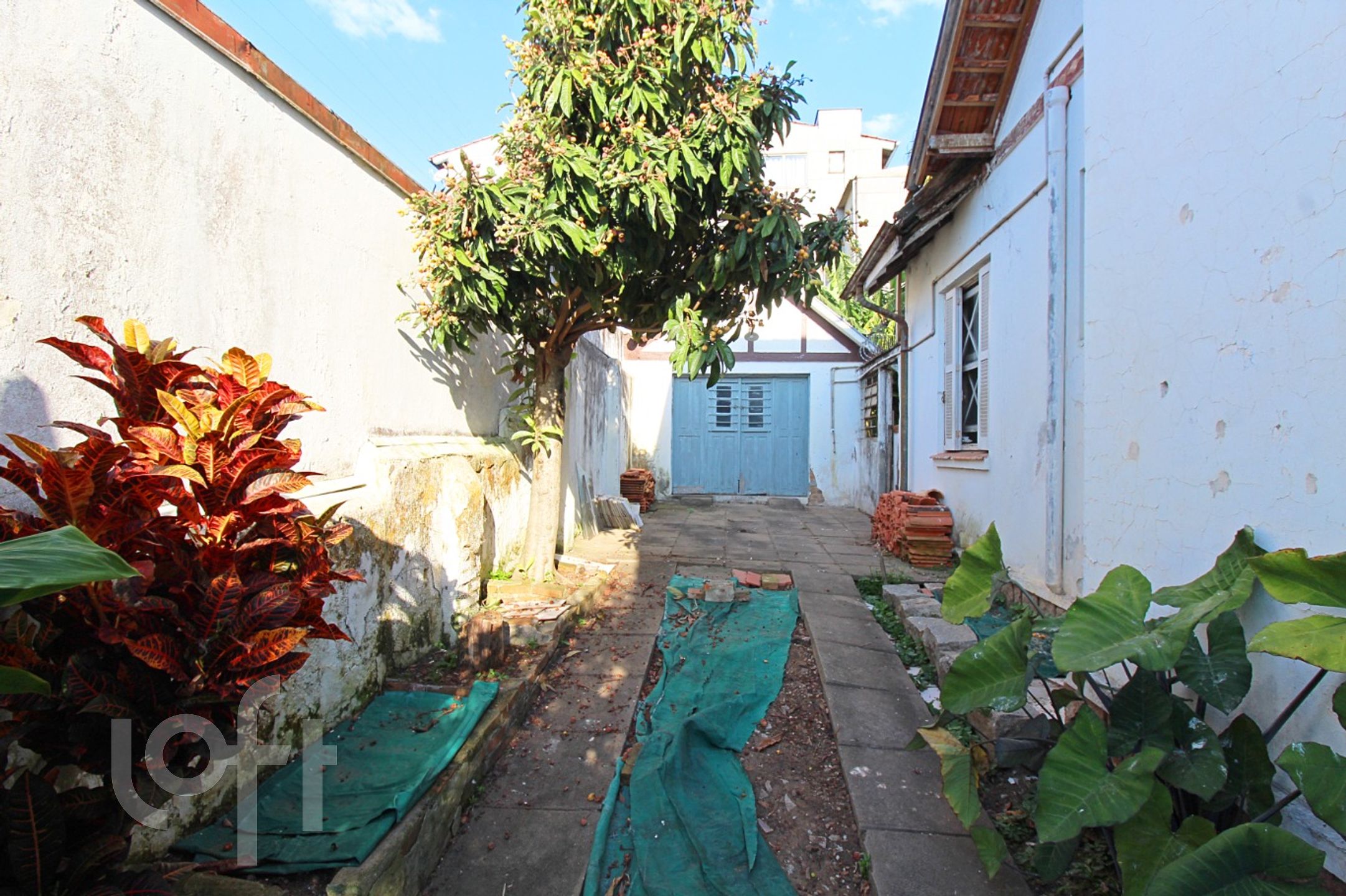 Imagem da propriedade 47