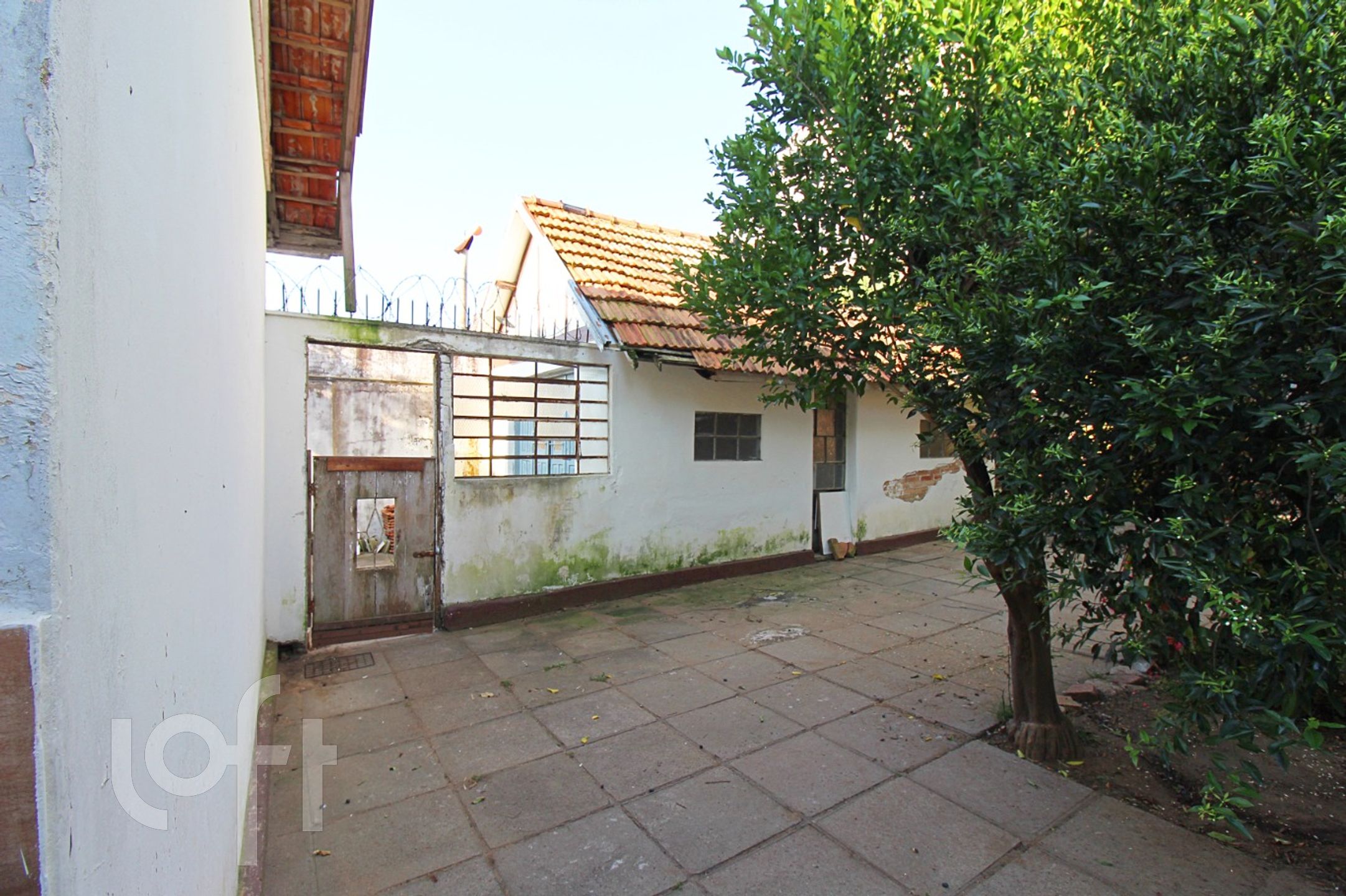 Imagem da propriedade 45