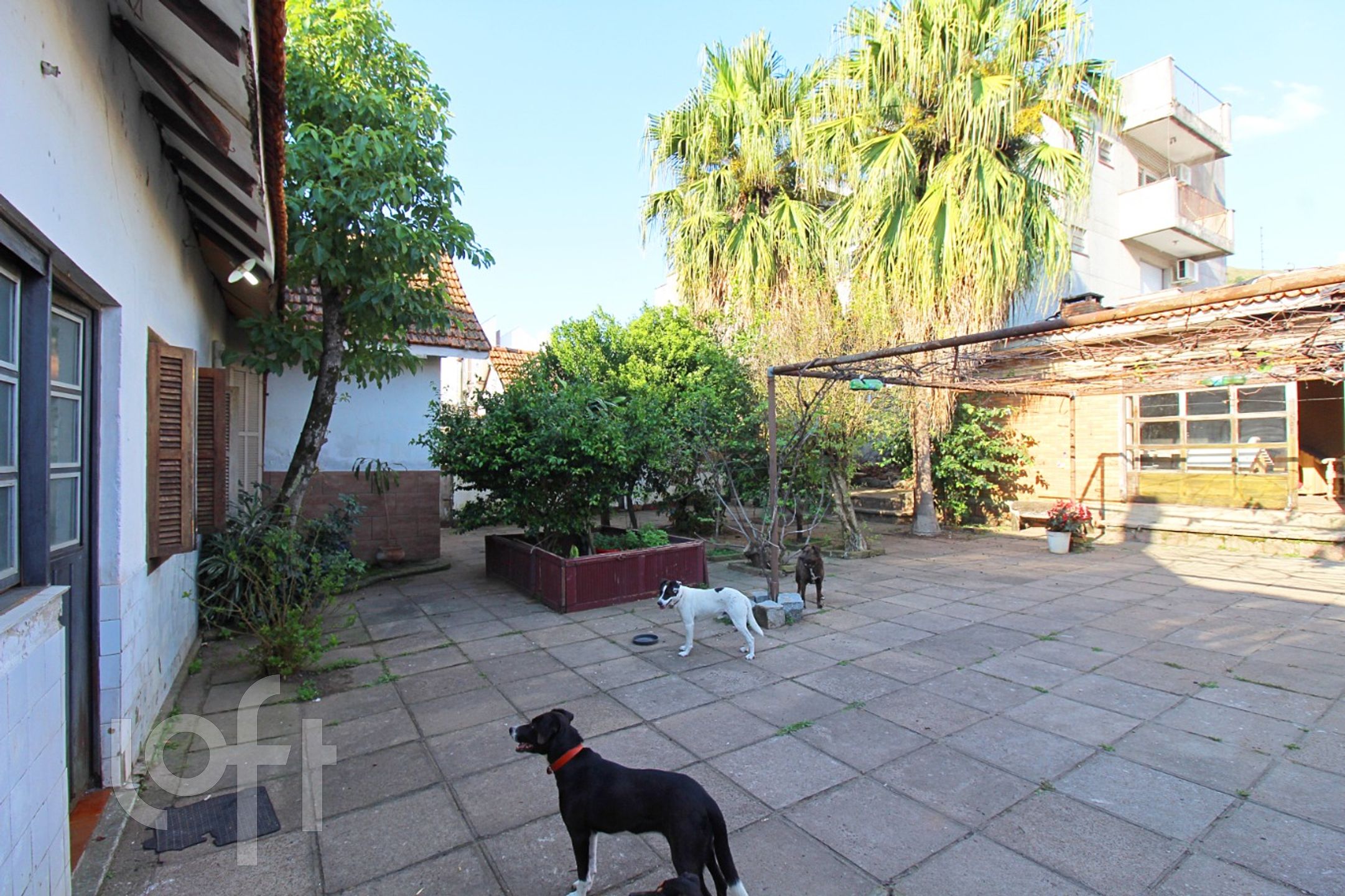 Imagem da propriedade 44