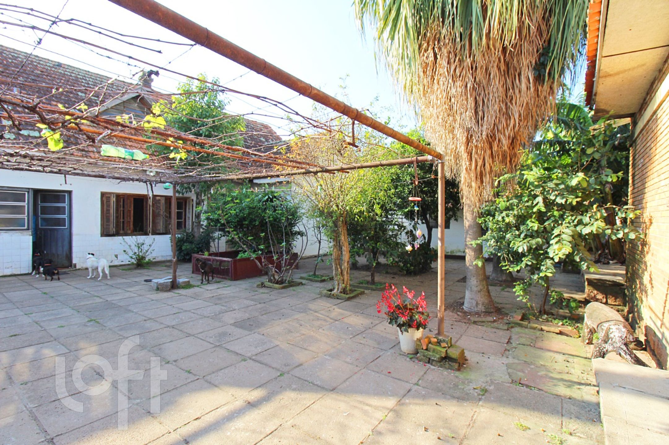 Imagem da propriedade 43