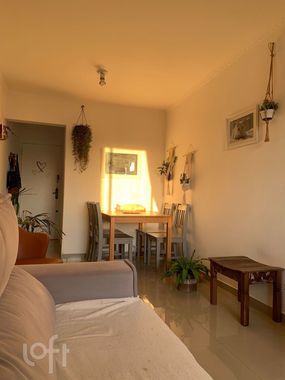 Apartamento à venda com 2 quartos, 50m² - Foto 12