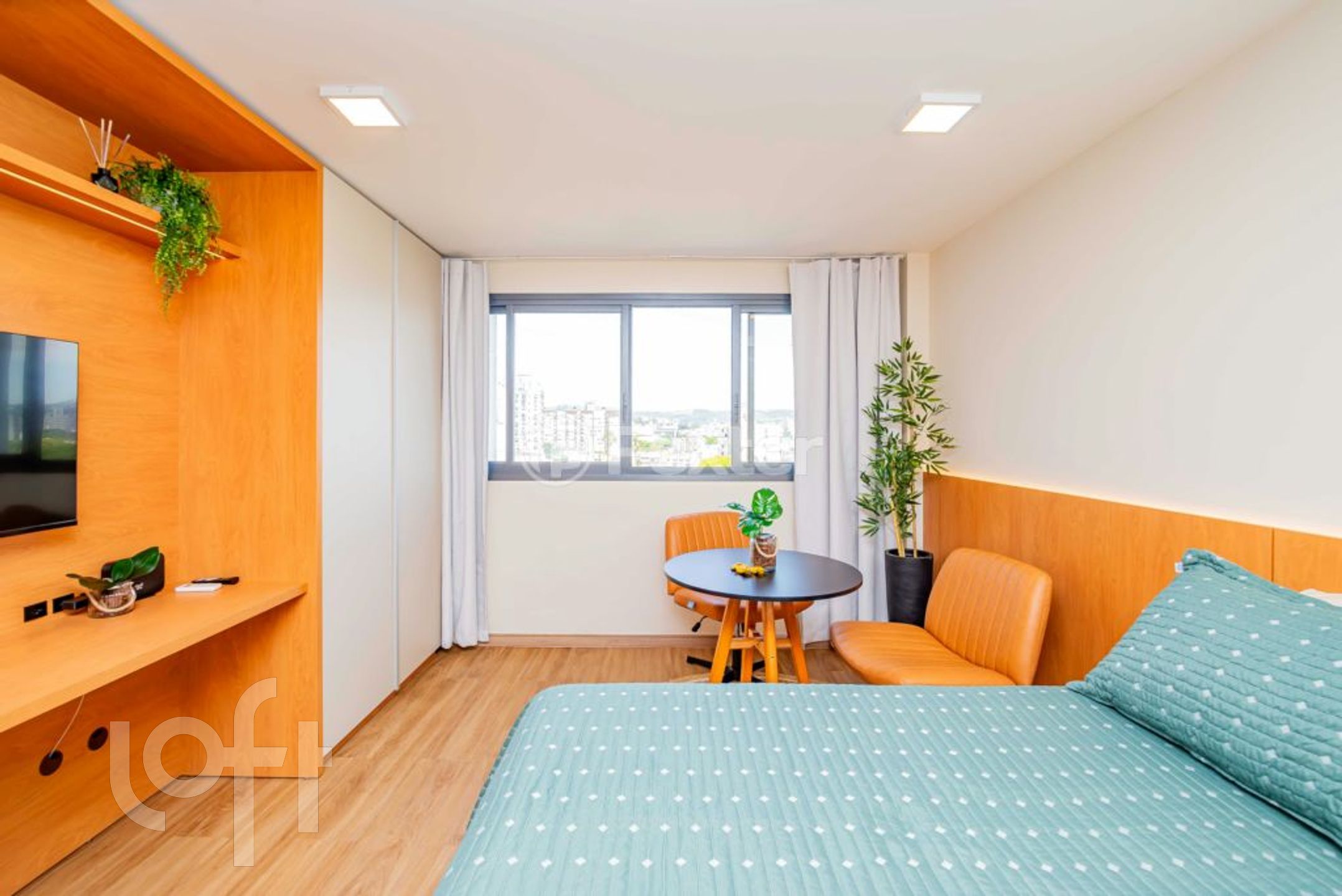 Imagem da propriedade 3