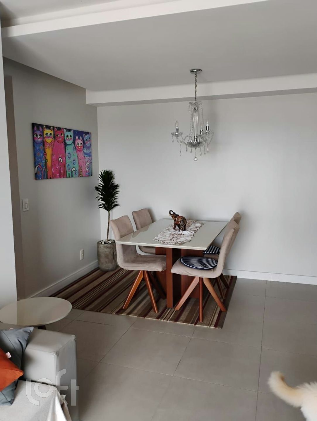 Imagem da propriedade 22