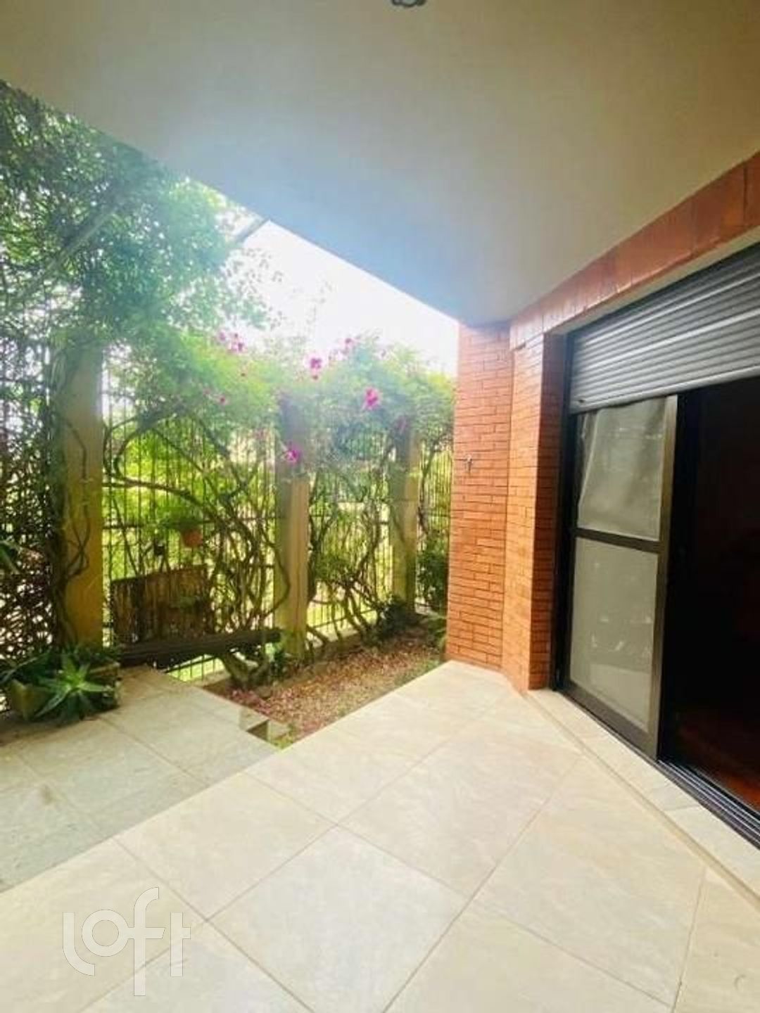 Imagem da propriedade 3