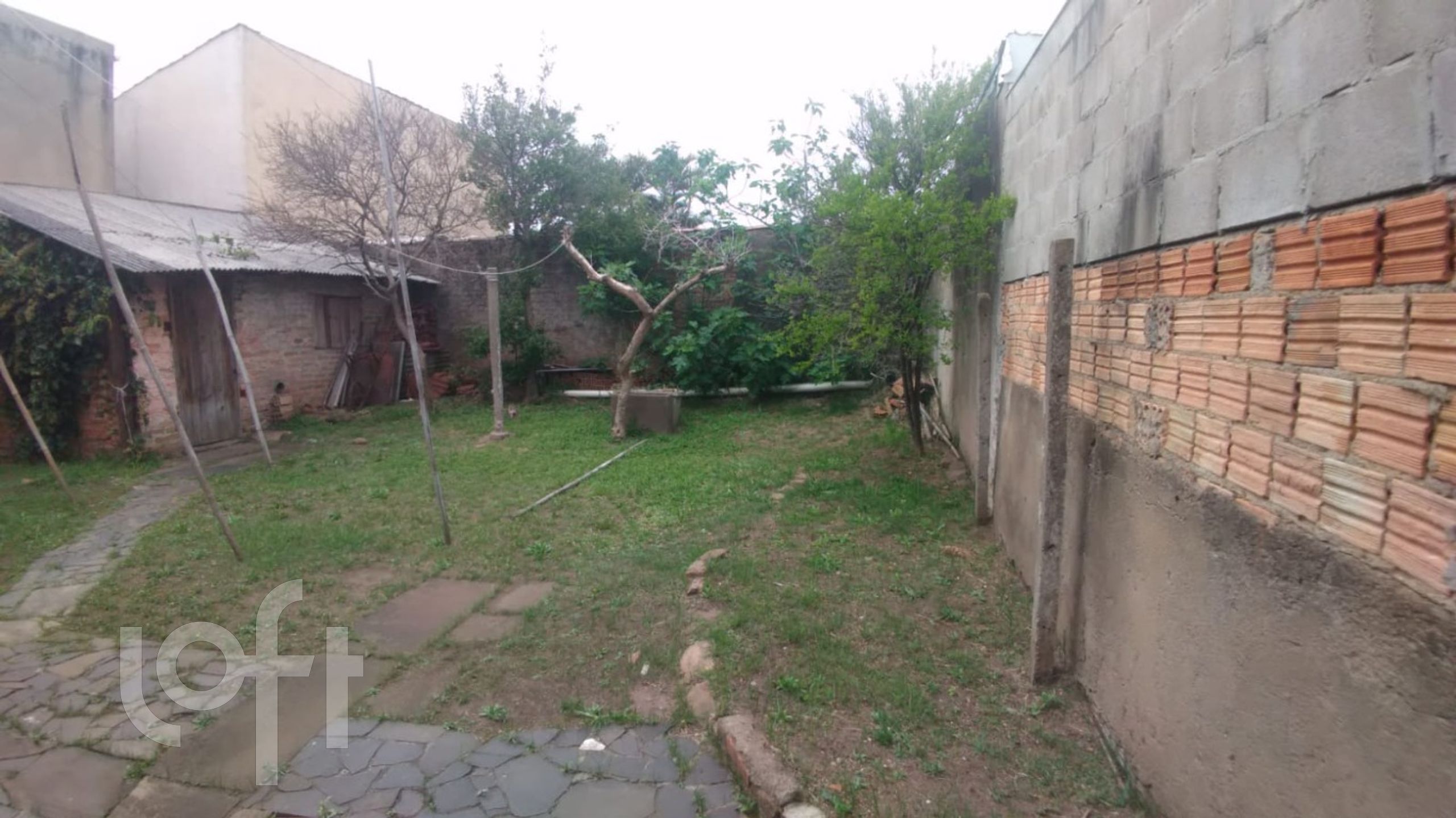 Imagem da propriedade 21