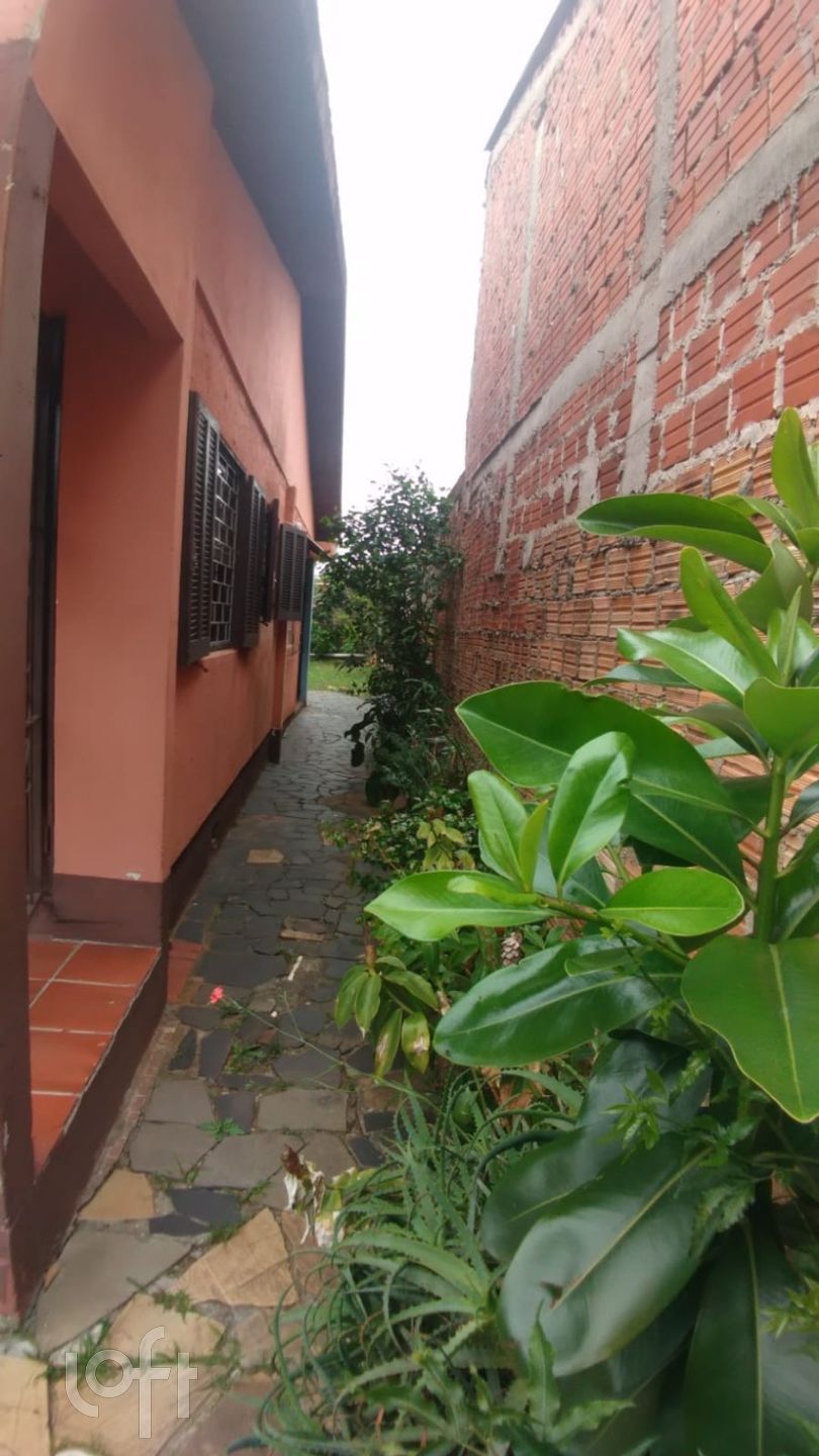 Imagem da propriedade 12