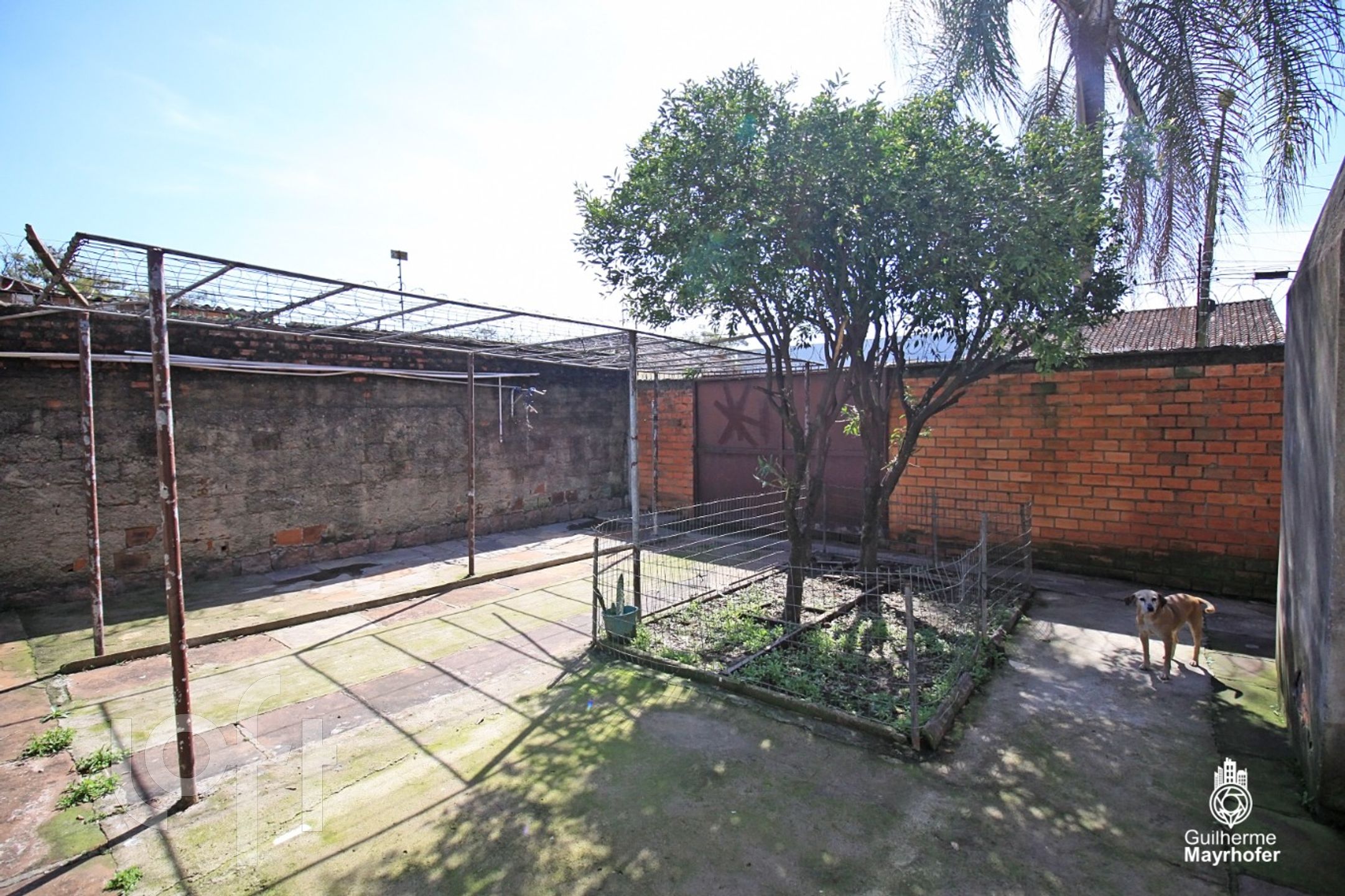 Imagem da propriedade 30