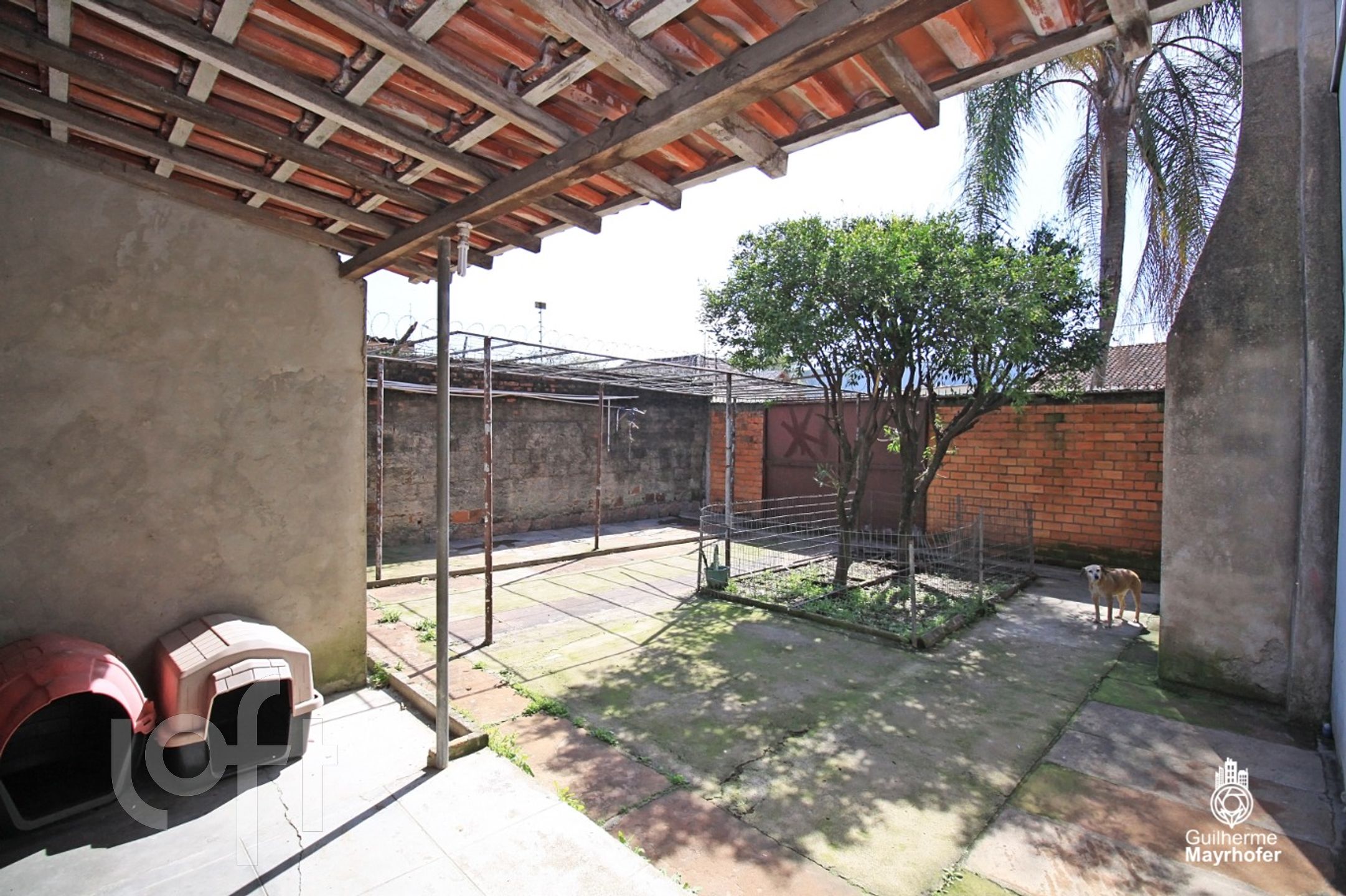 Imagem da propriedade 29