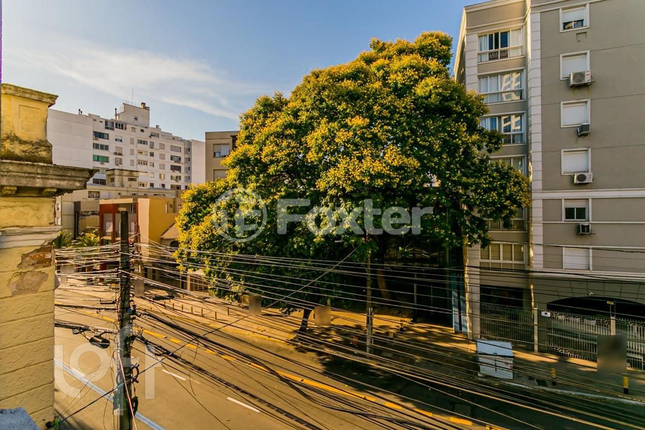 Imagem da propriedade 15