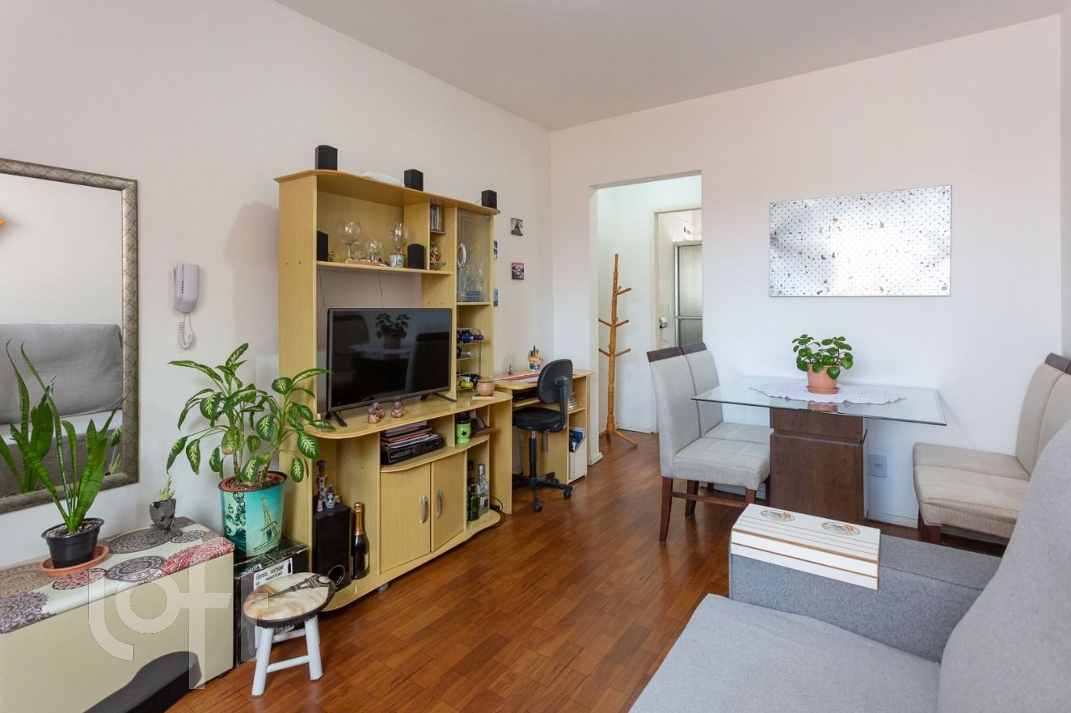 Imagem da propriedade 6