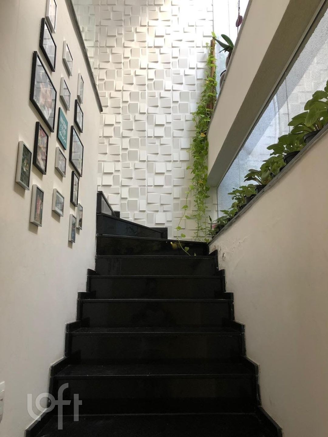 Imagem da propriedade 43