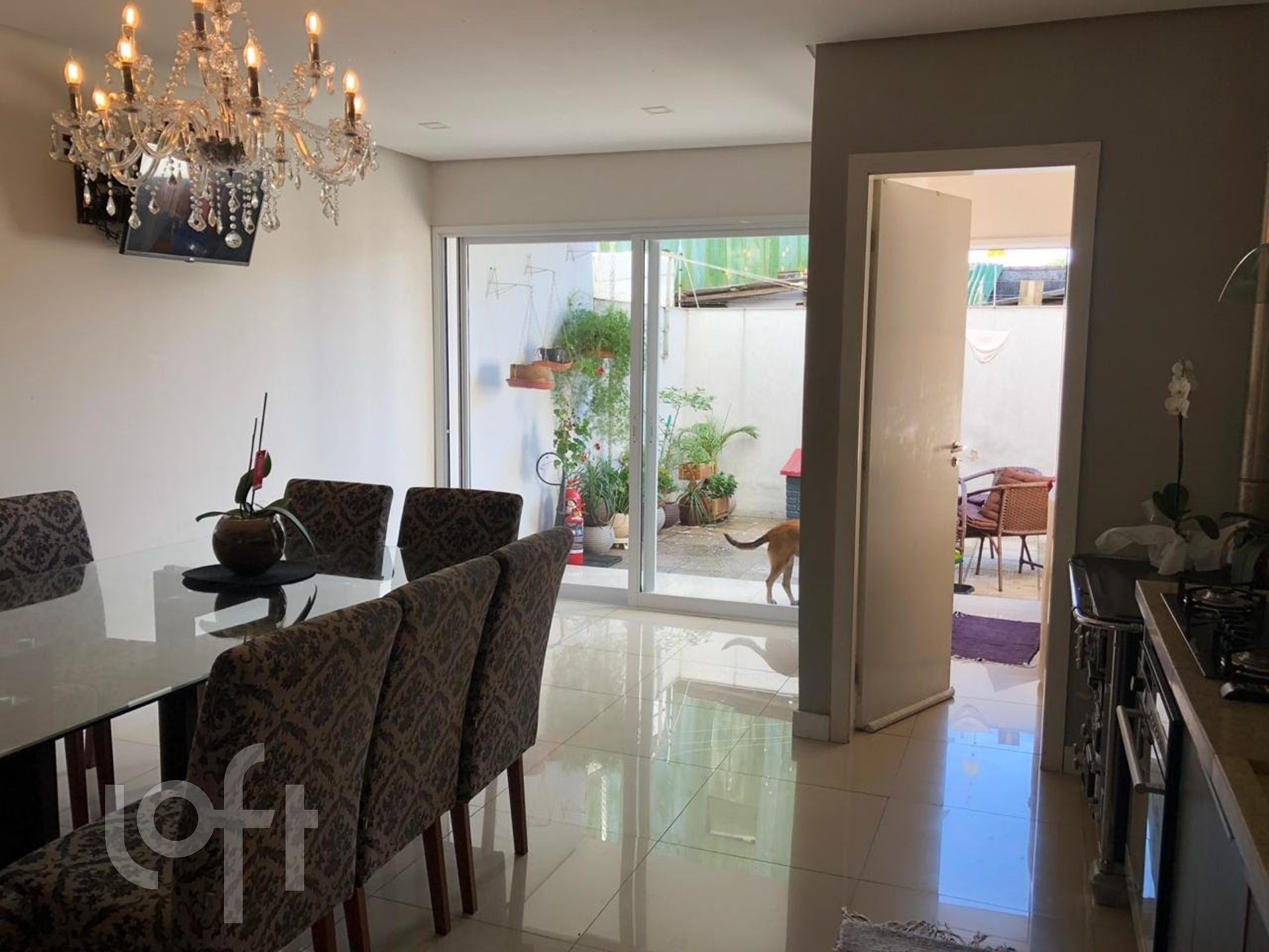 Imagem da propriedade 53