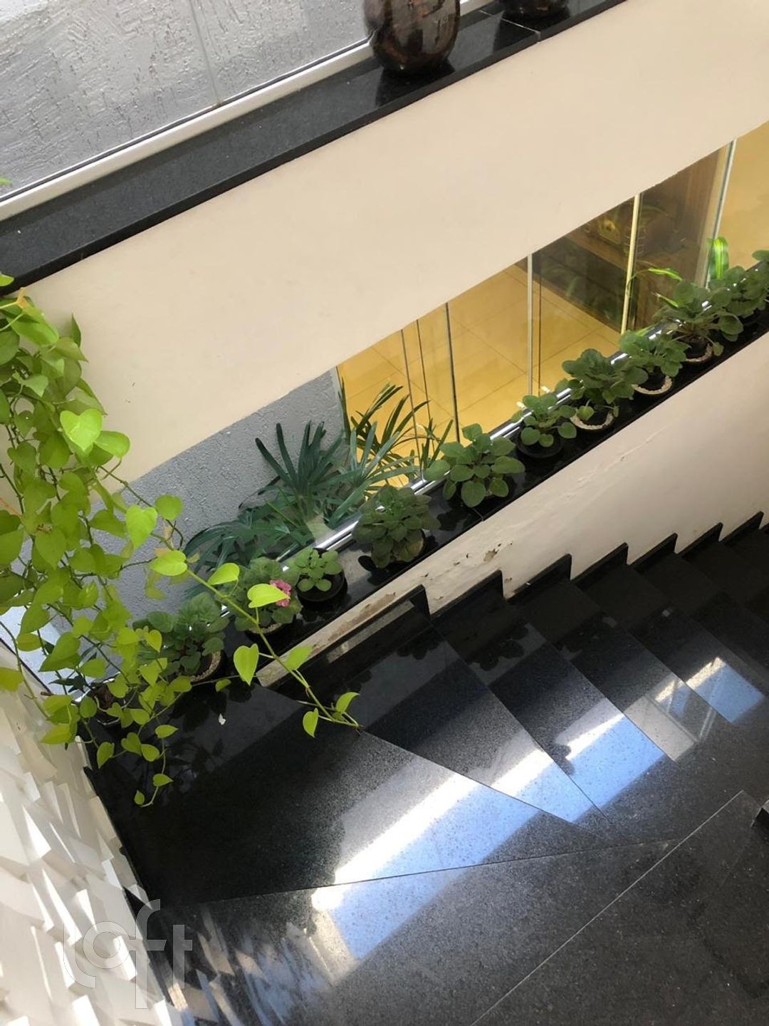 Imagem da propriedade 42