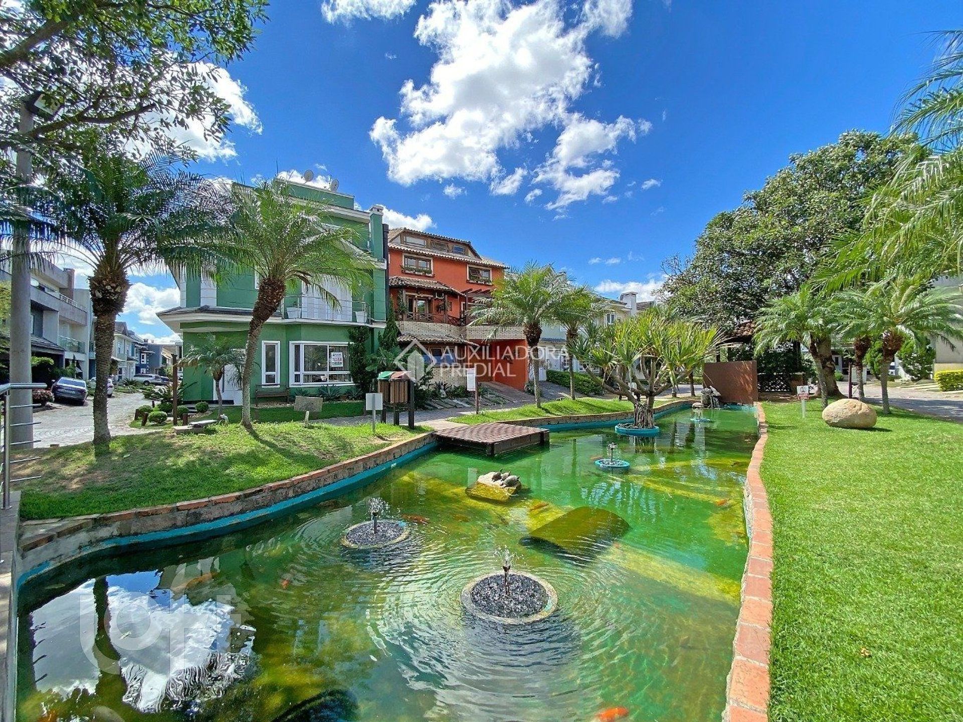 Imagem da propriedade 53