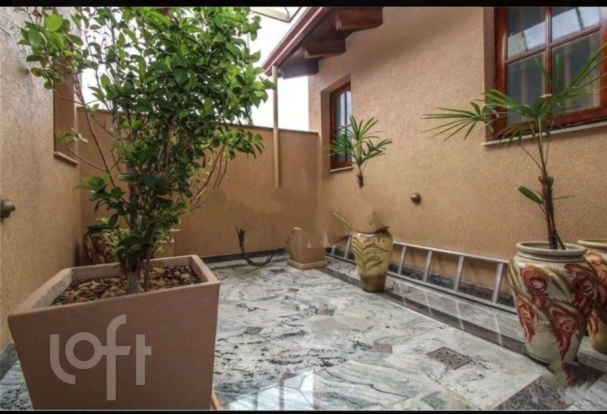 Imagem da propriedade 33