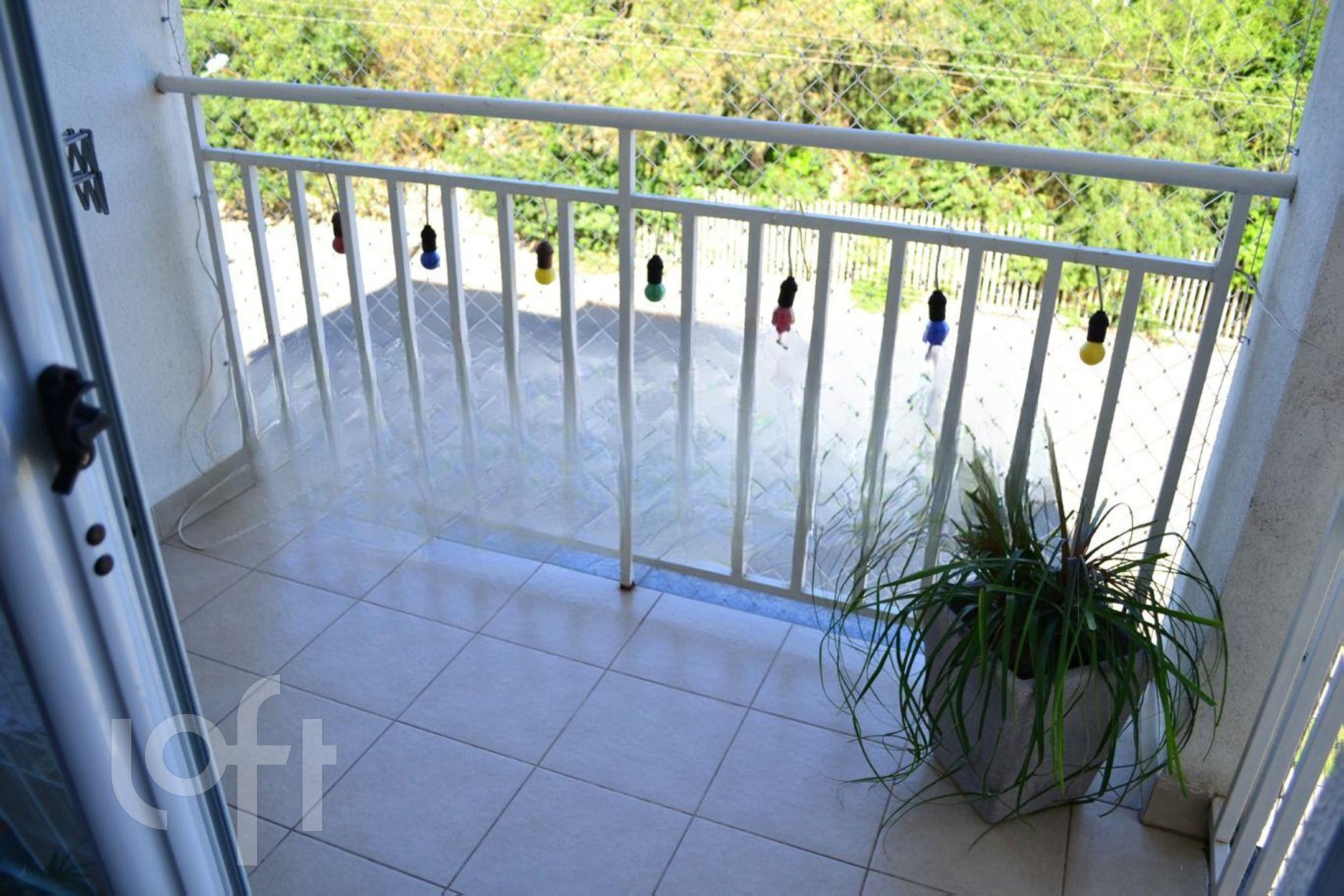 Imagem da propriedade 3