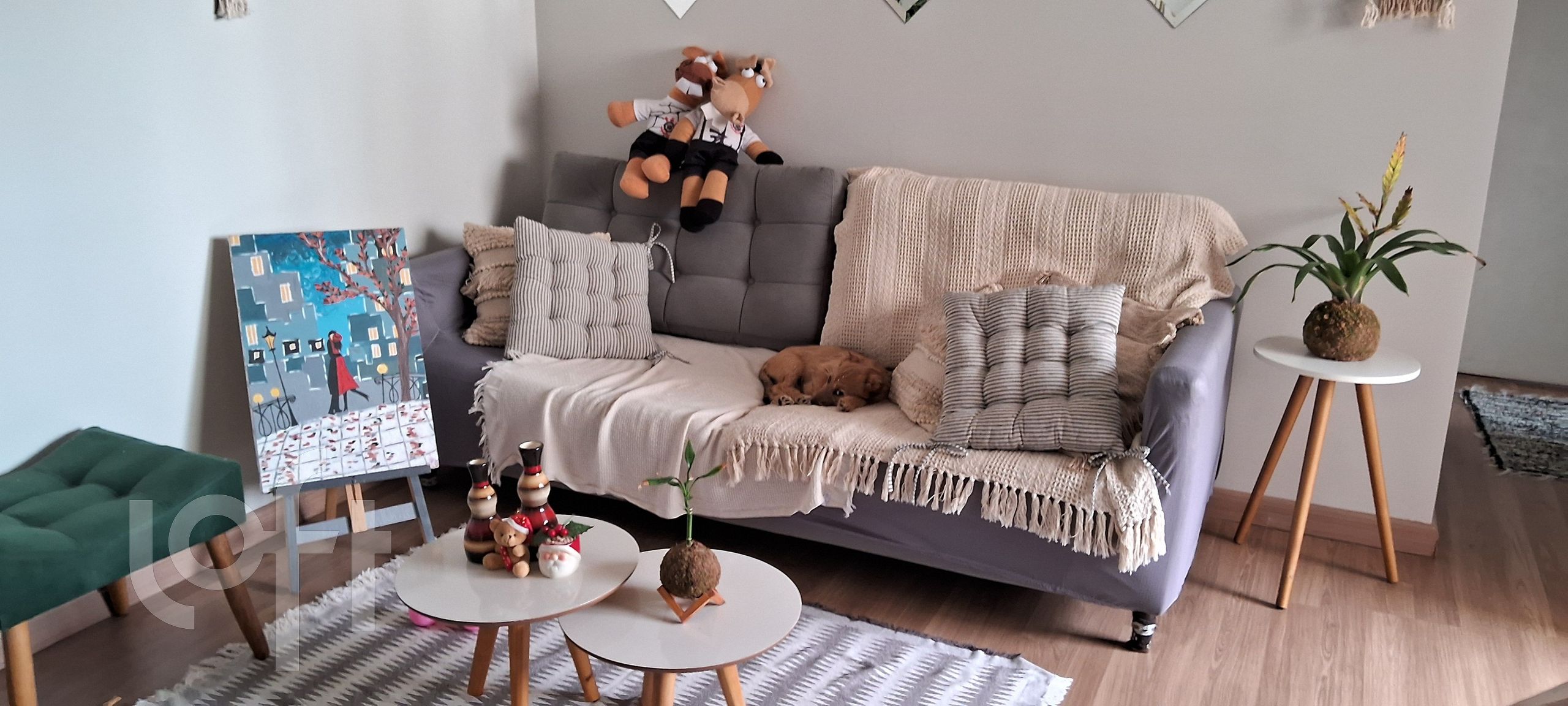 Apartamento à venda em Vila Bela Vista (Zona Norte