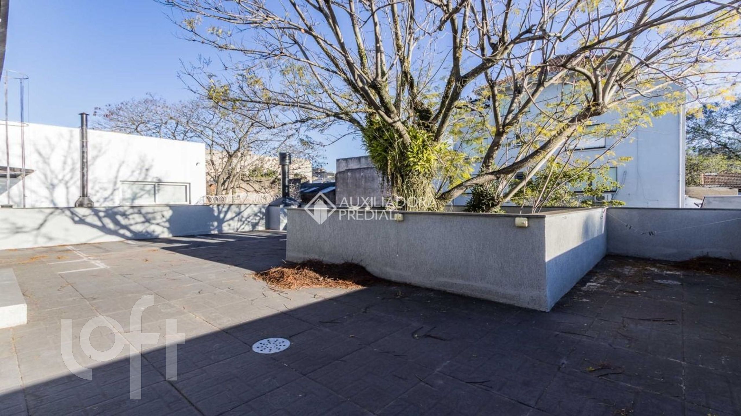 Imagem da propriedade 36