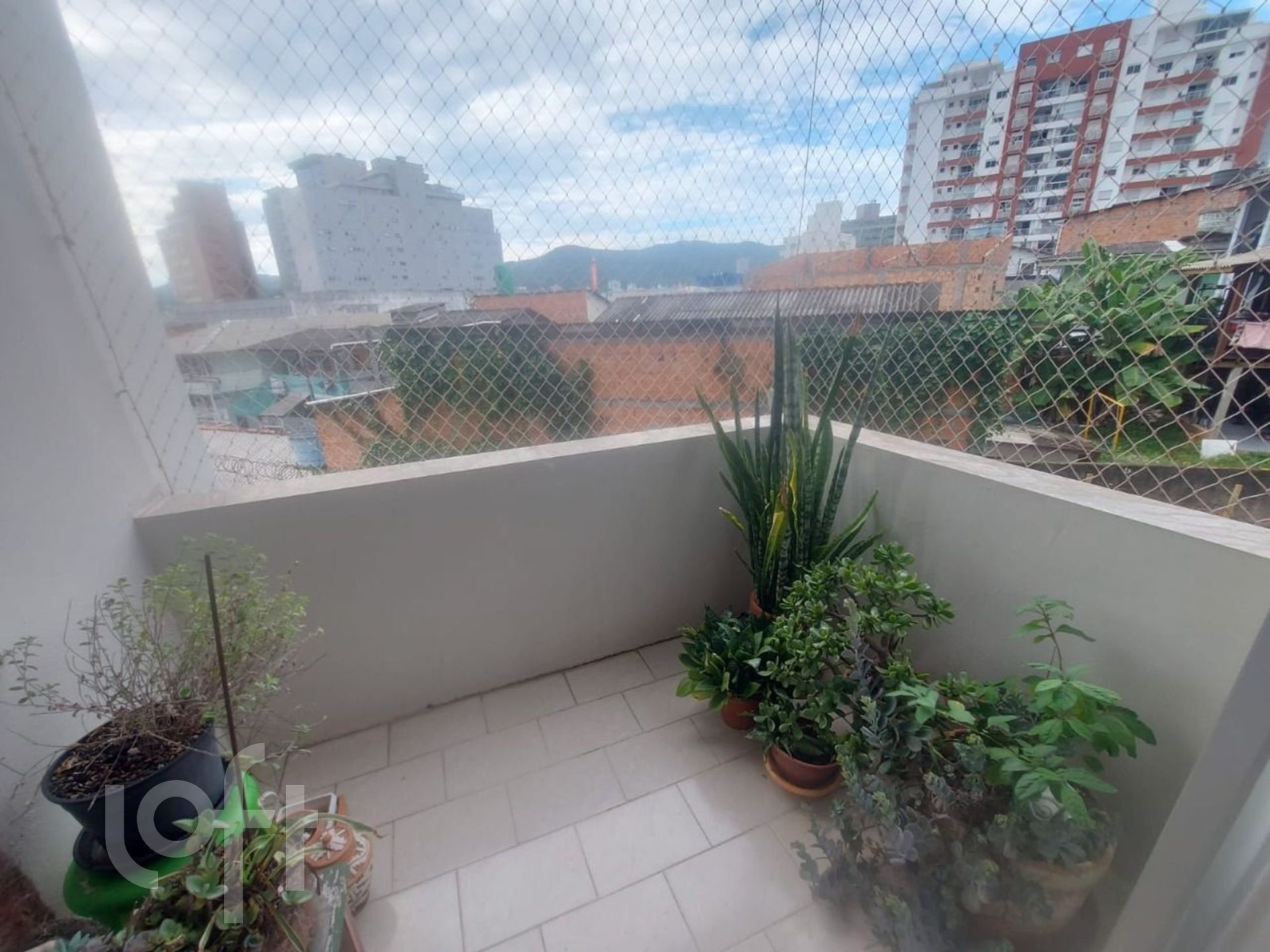 Imagem da propriedade 3