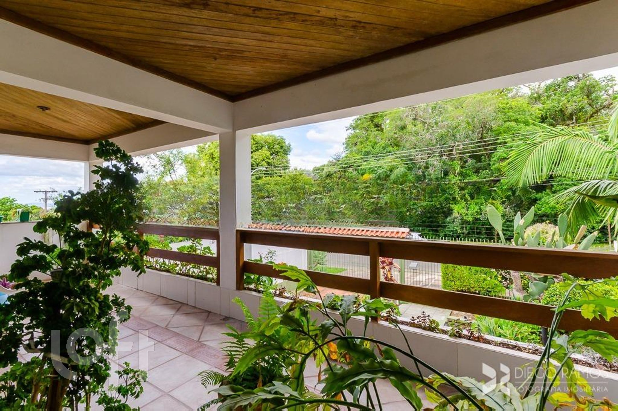 Imagem da propriedade 26