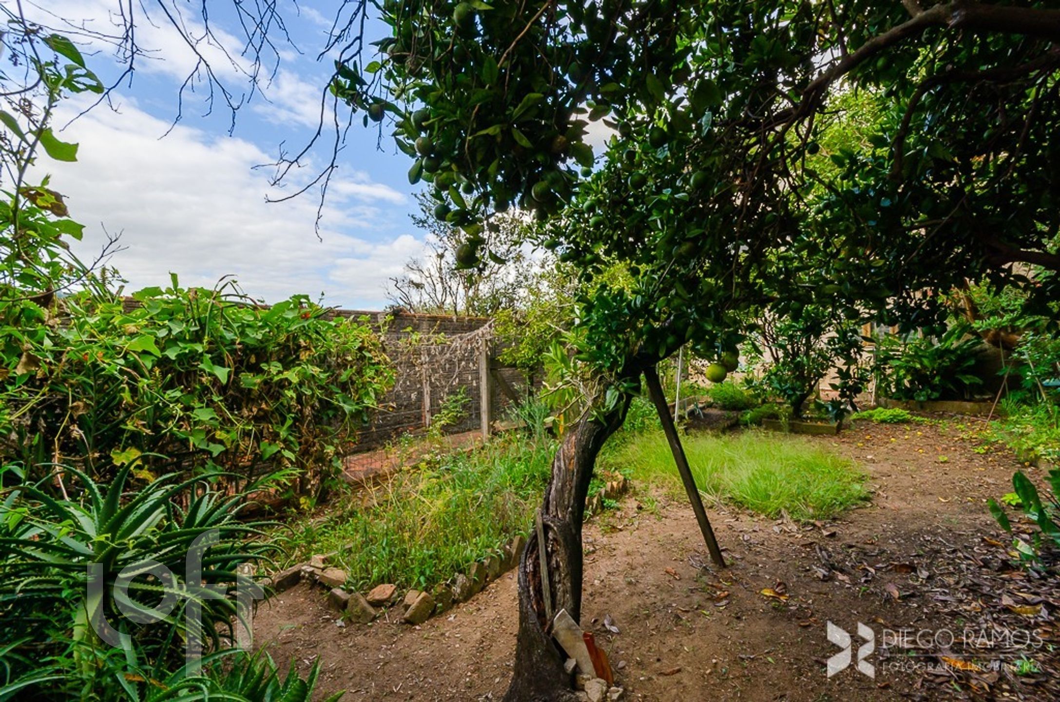 Imagem da propriedade 62