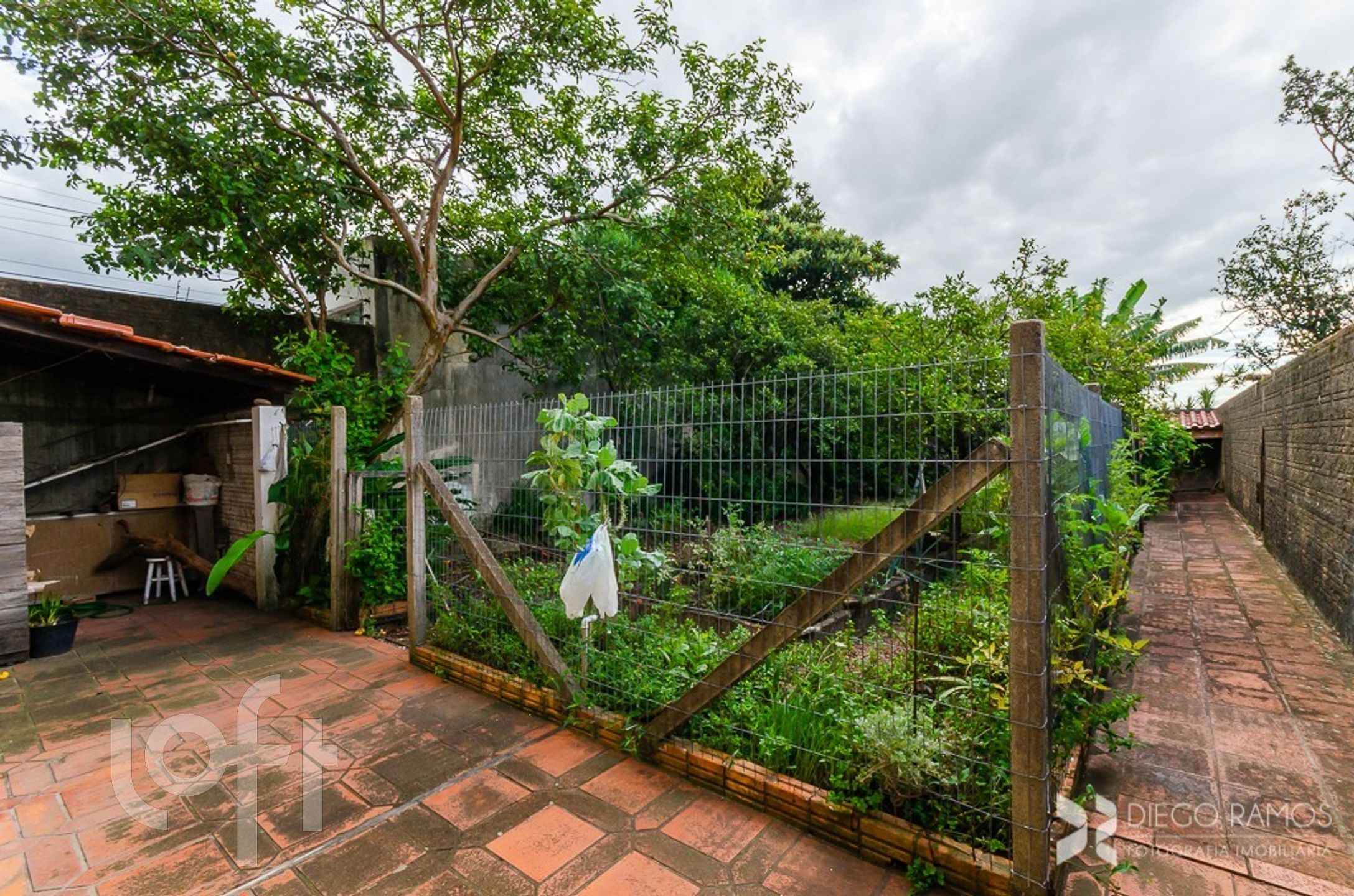 Imagem da propriedade 61