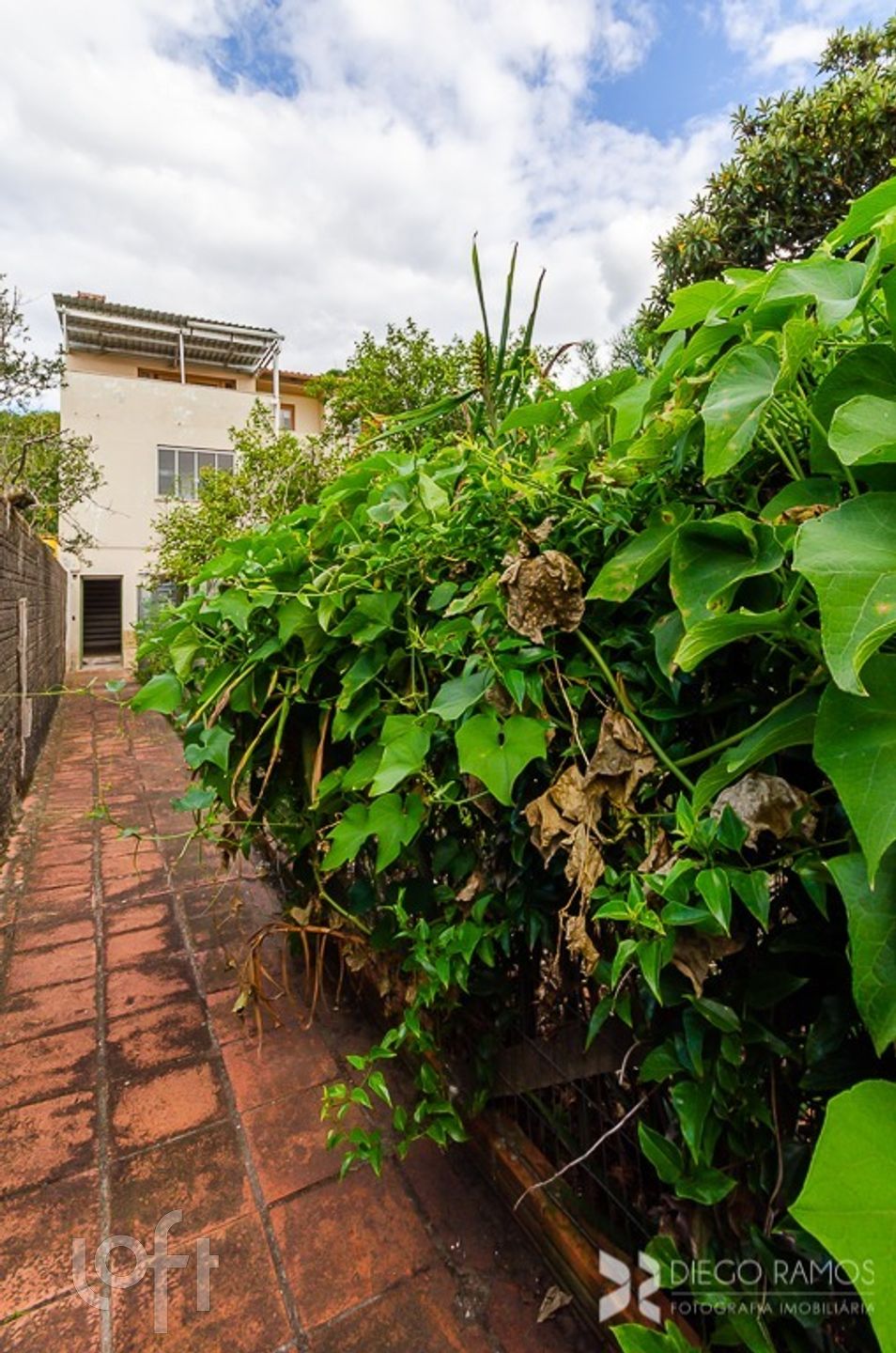 Imagem da propriedade 63