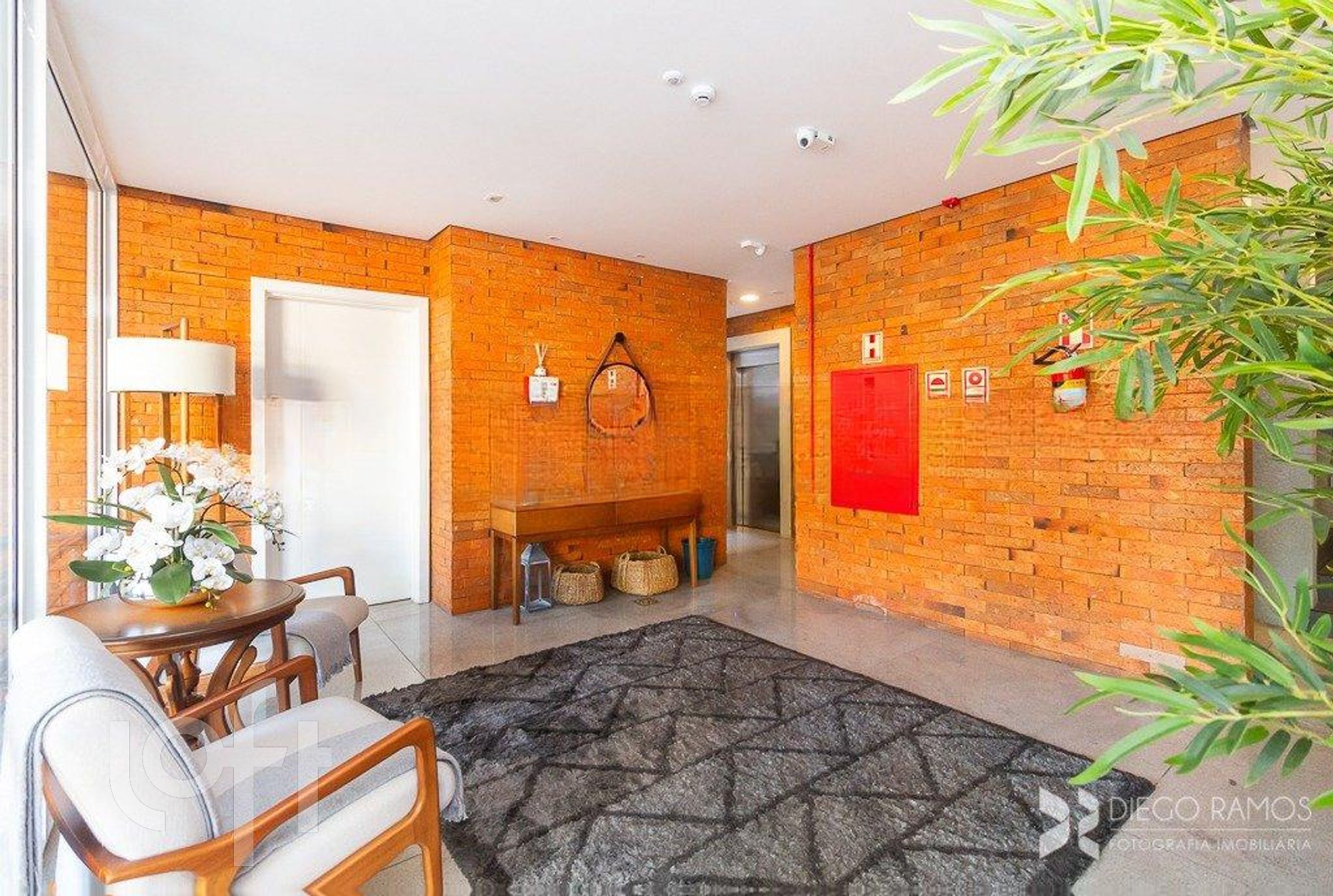 Imagem da propriedade 3