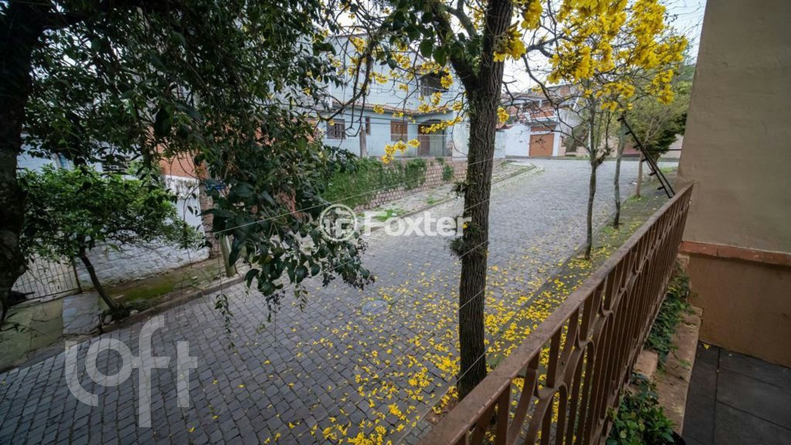 Imagem da propriedade 35