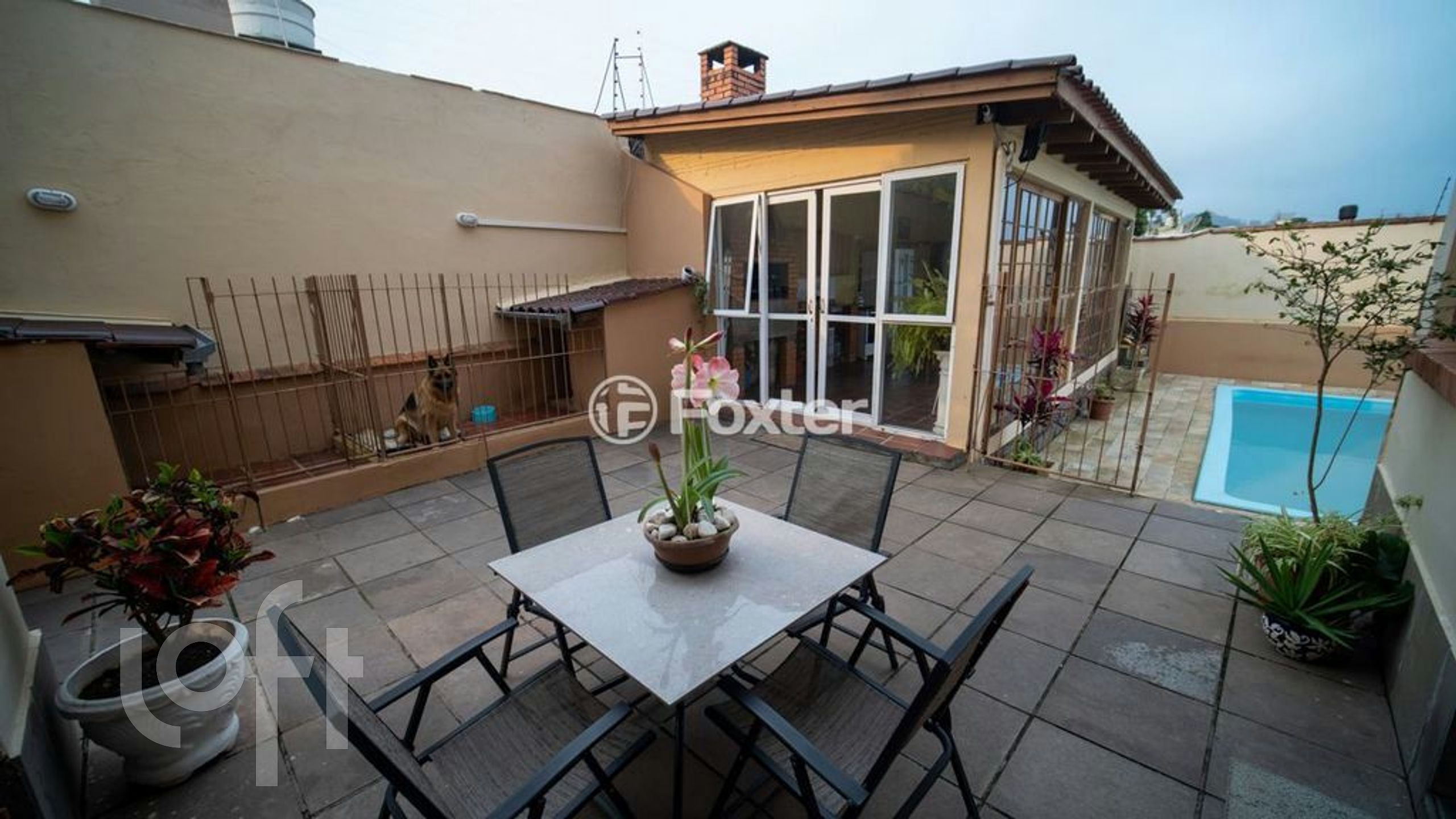 Imagem da propriedade 29