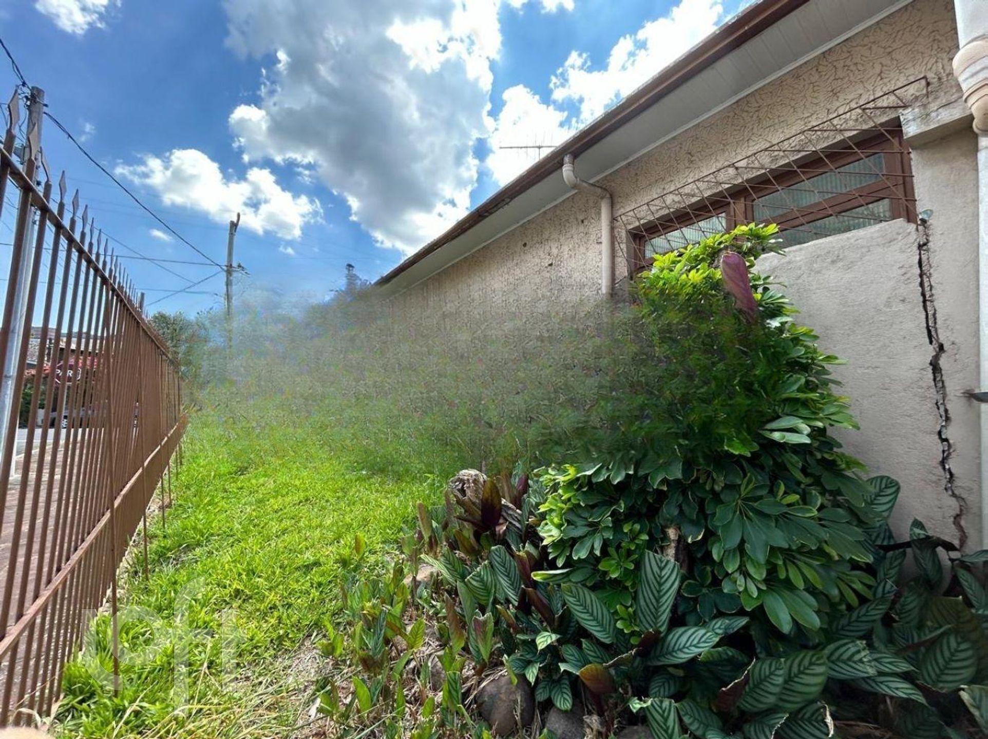 Imagem da propriedade 40