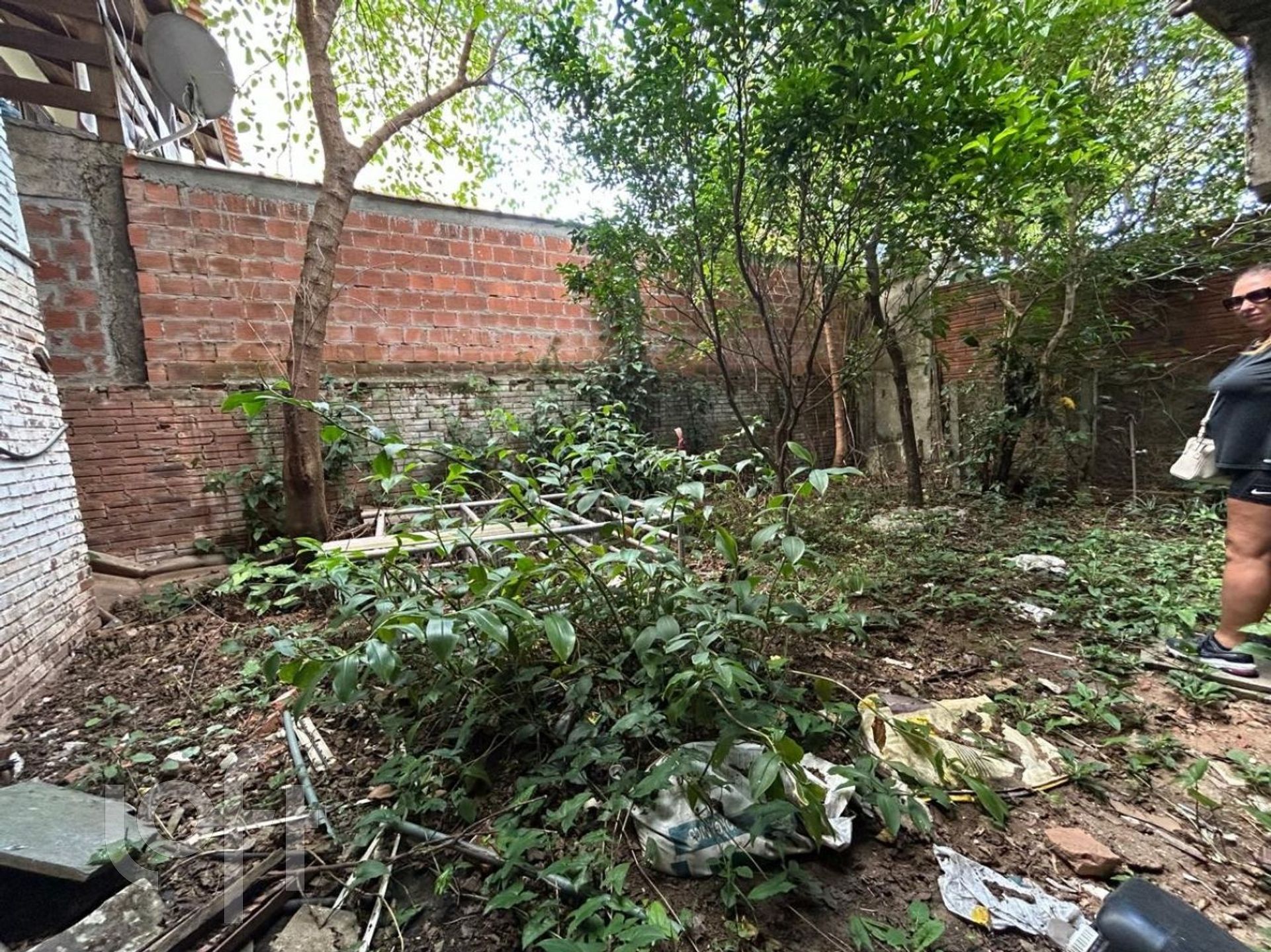 Imagem da propriedade 34