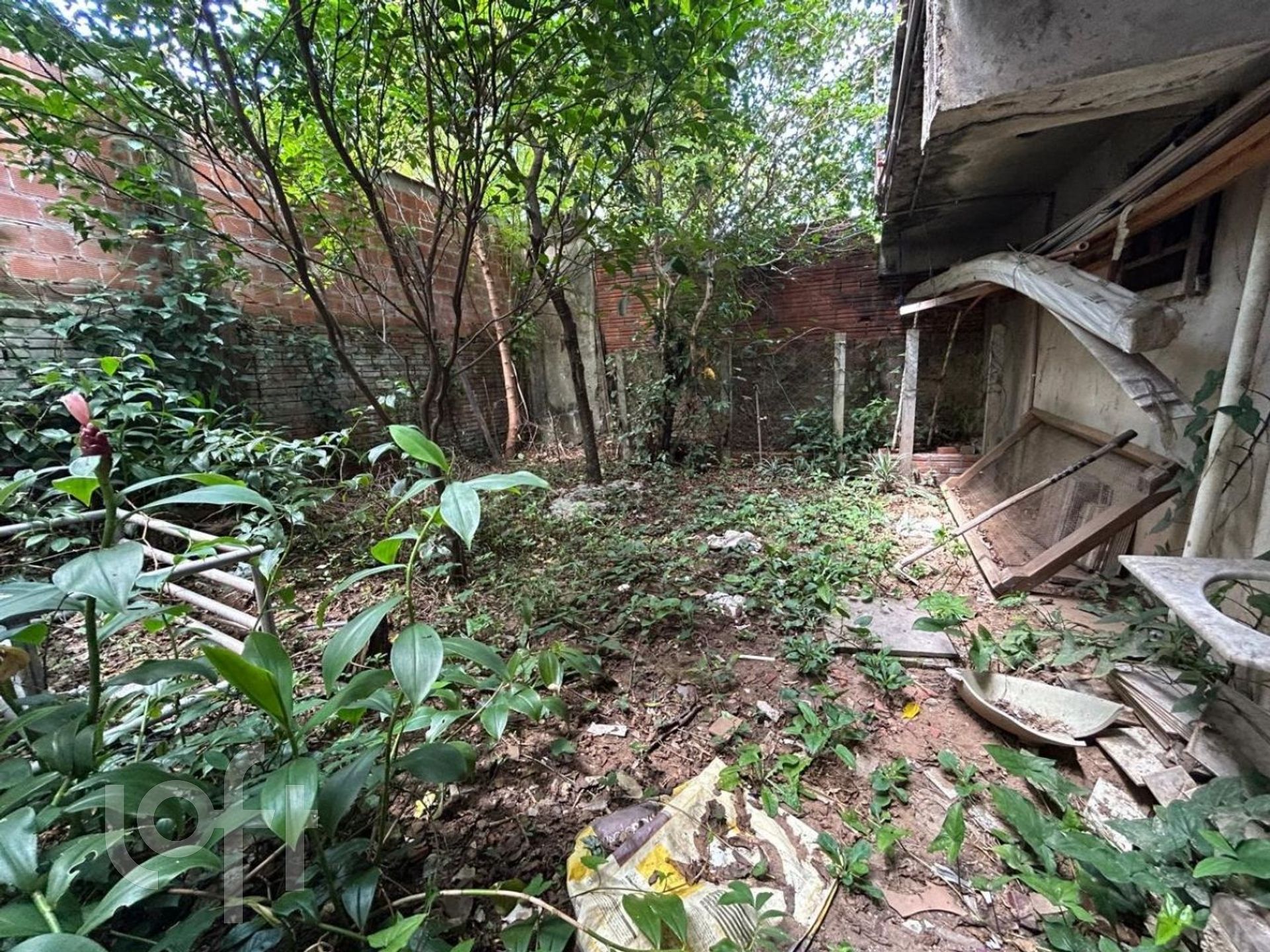 Imagem da propriedade 38