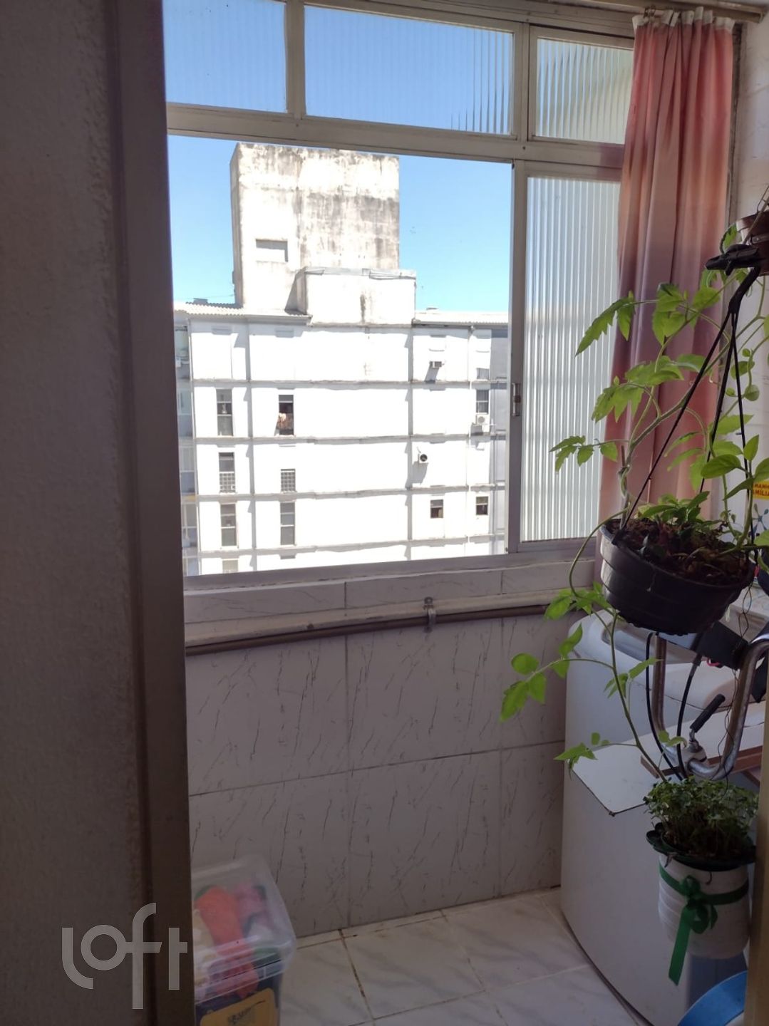 Imagem da propriedade 12