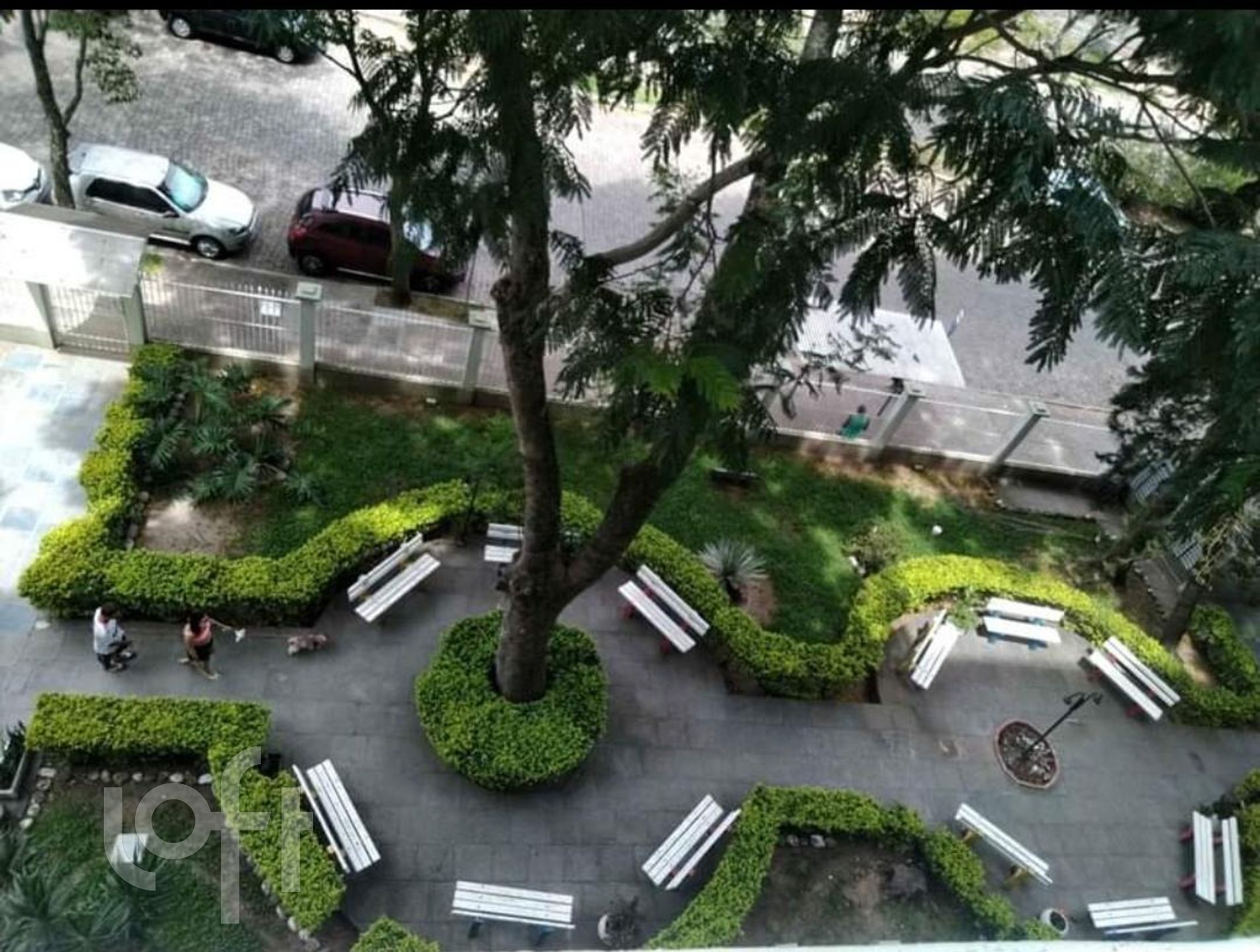 Imagem da propriedade 16