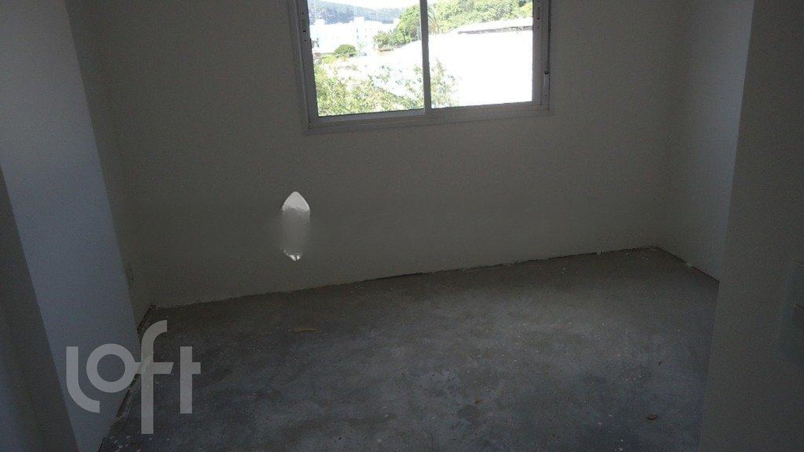 Imagem da propriedade 13