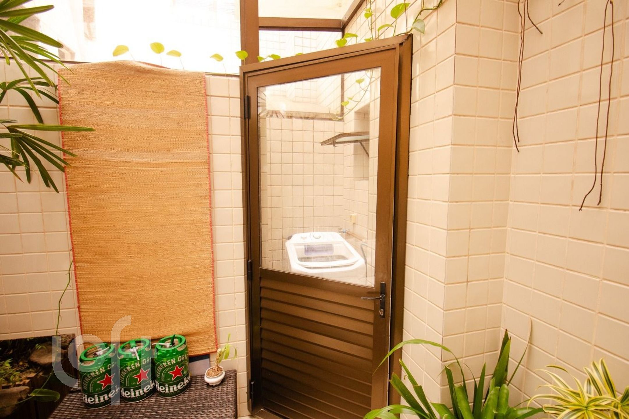 Imagem da propriedade 27