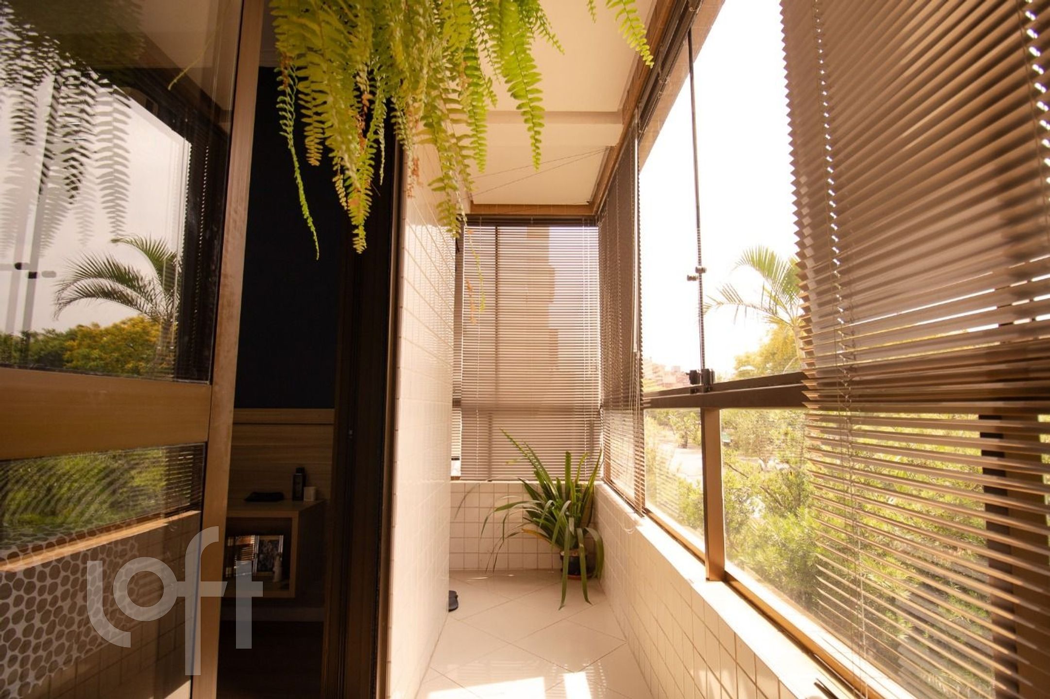 Imagem da propriedade 23