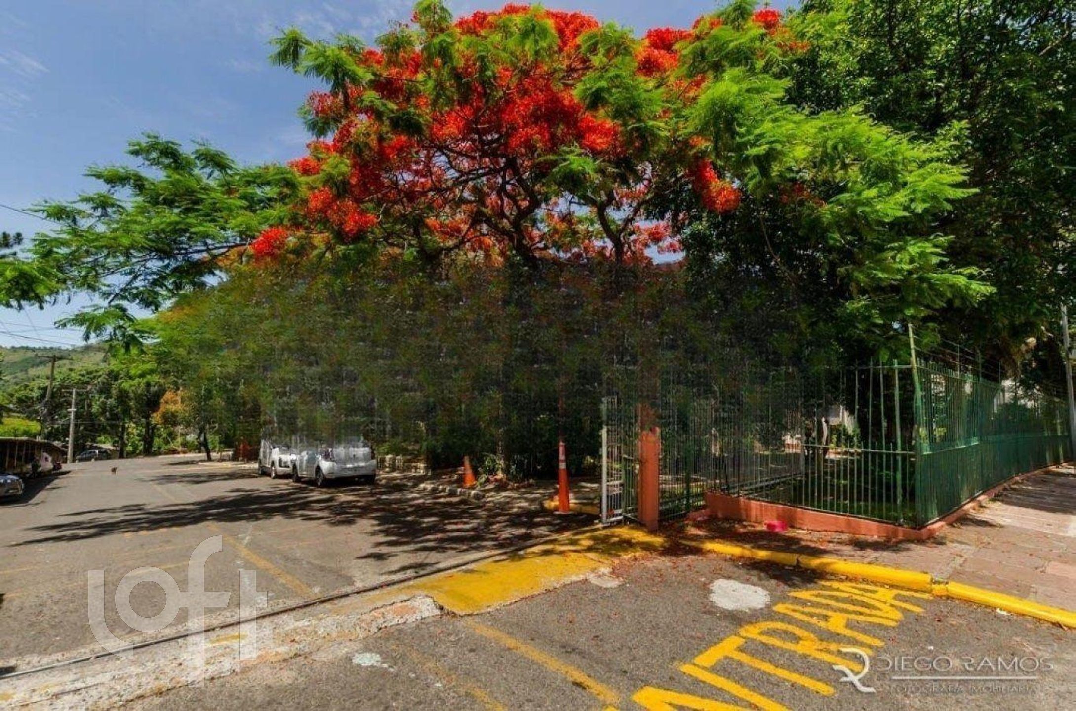 Imagem da propriedade 45