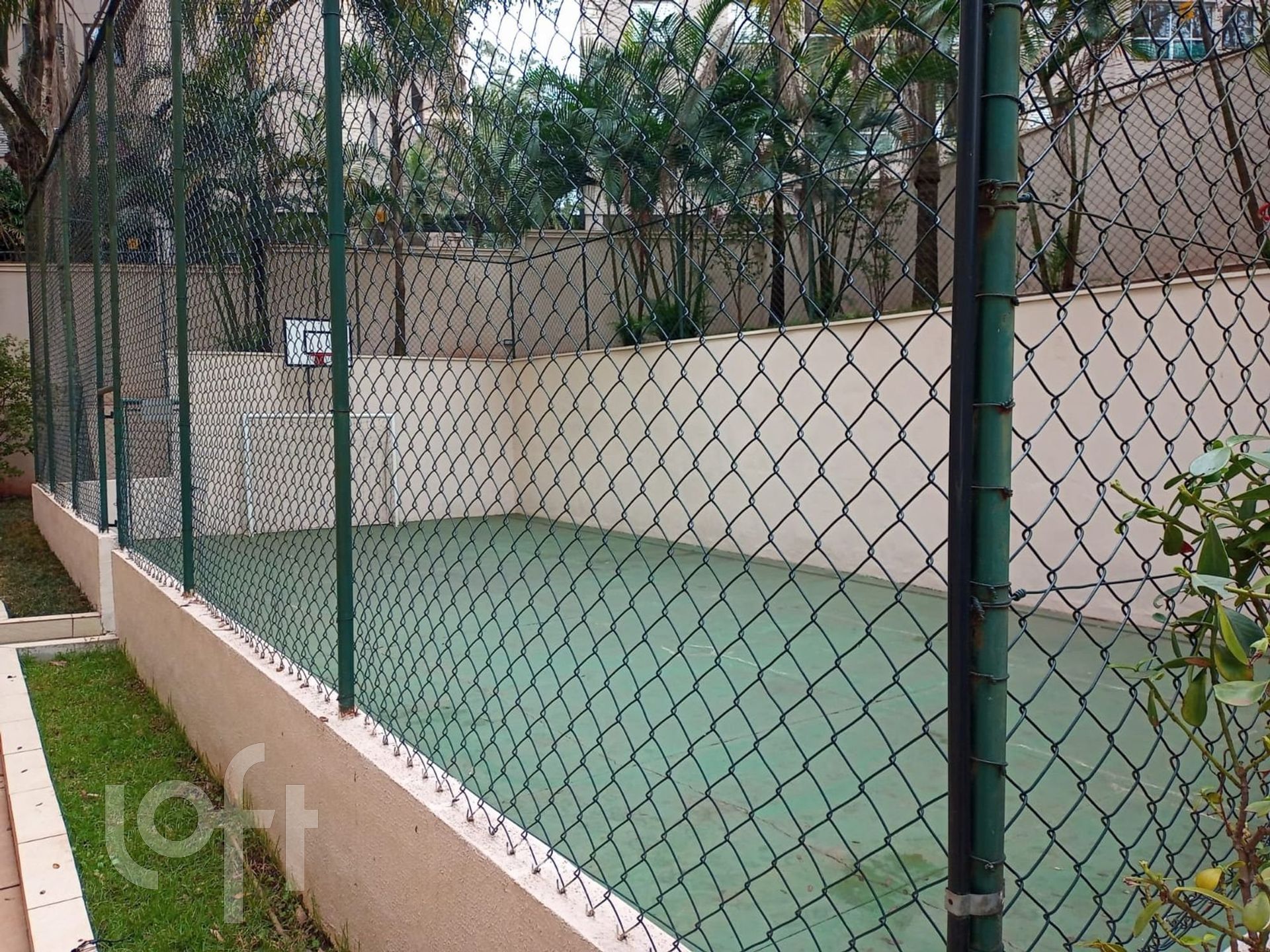 Imagem da propriedade 12