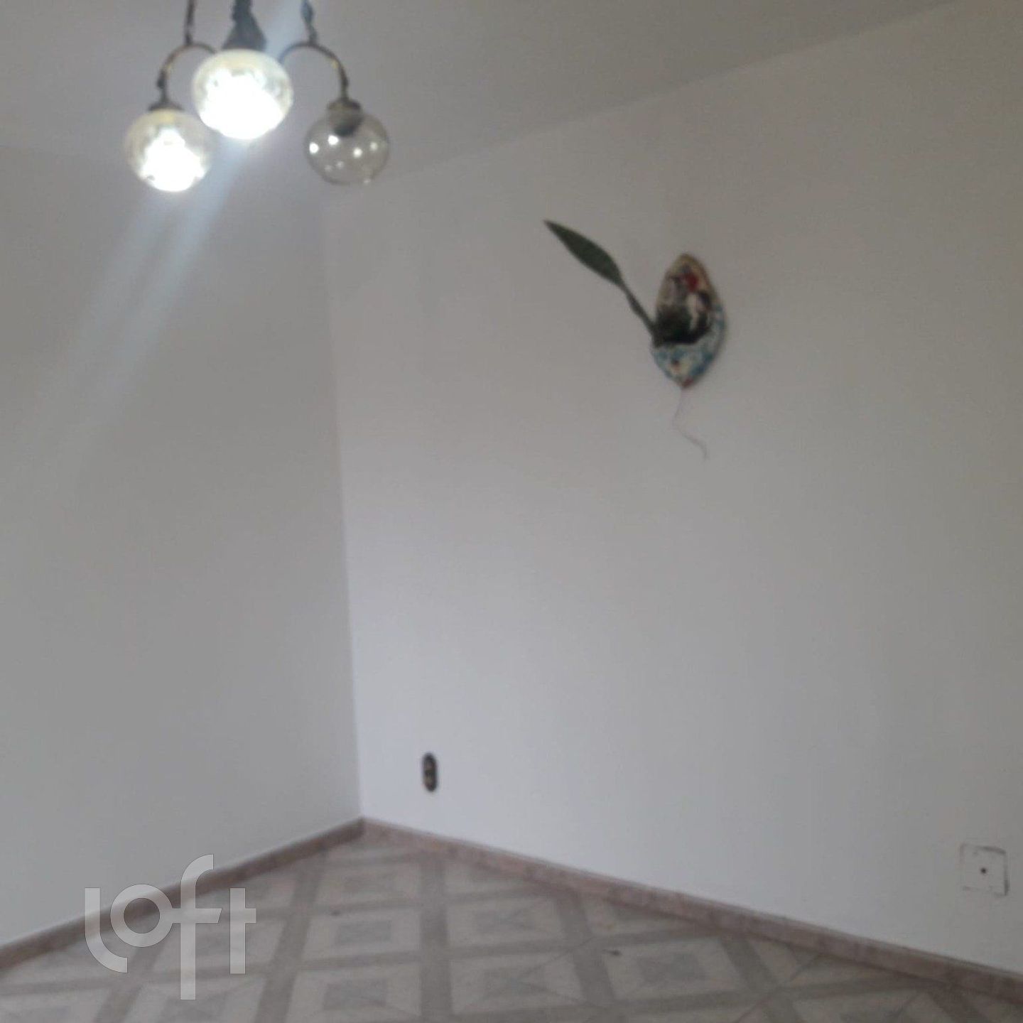 Imagem da propriedade 5