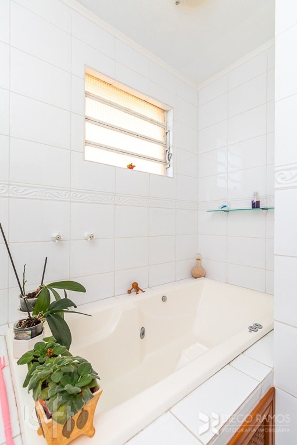 Imagem da propriedade 21