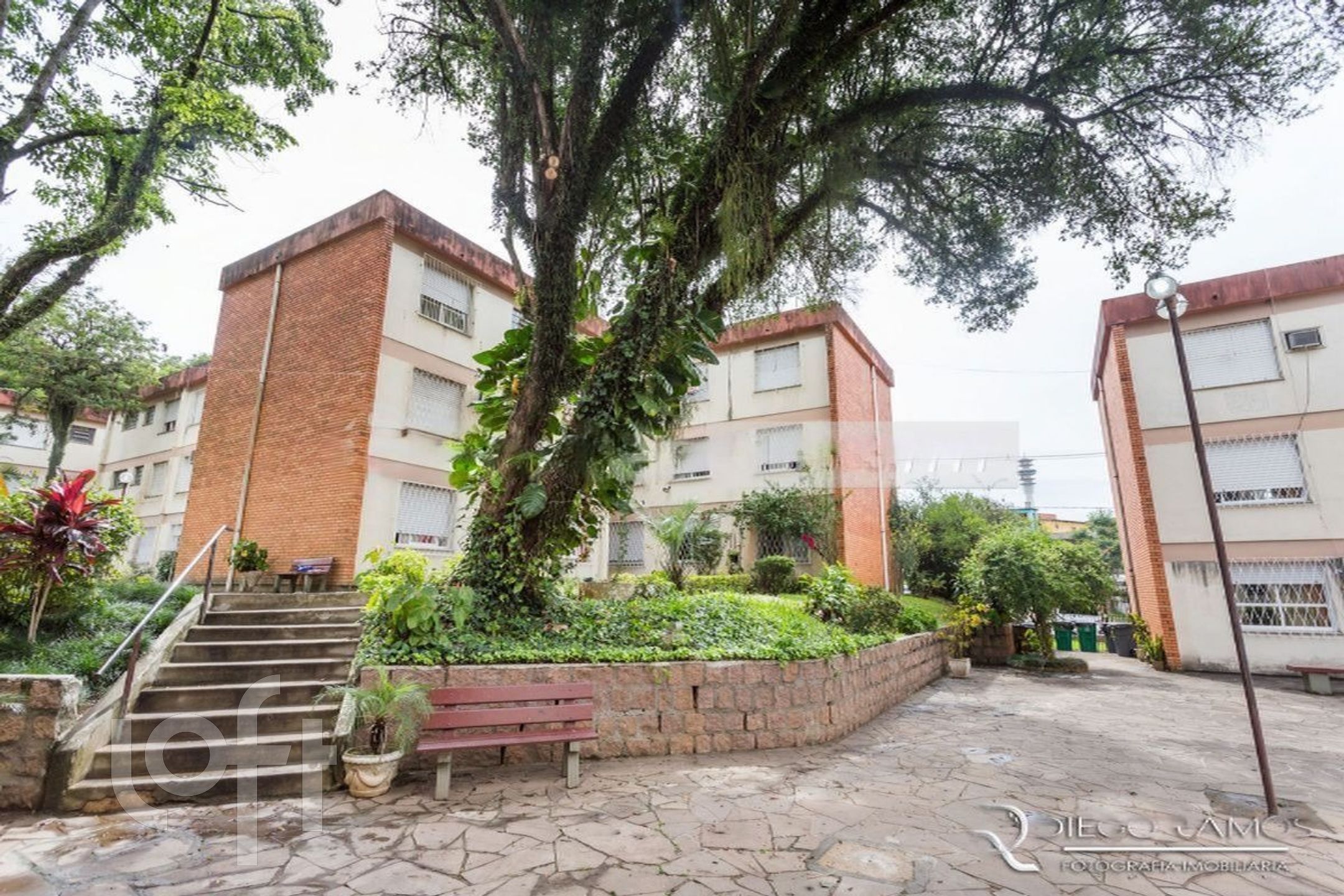 Imagem da propriedade 3