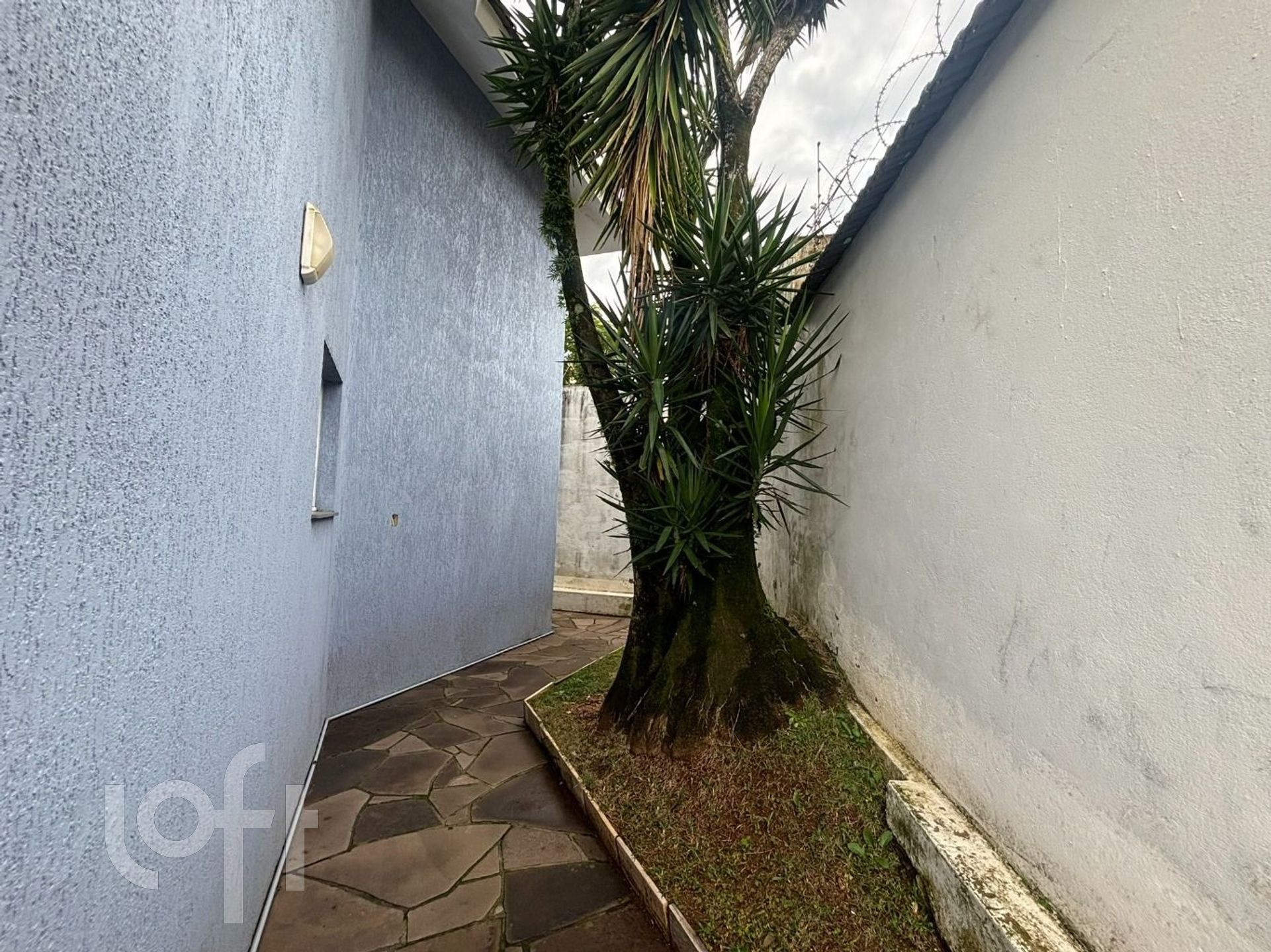 Imagem da propriedade 12