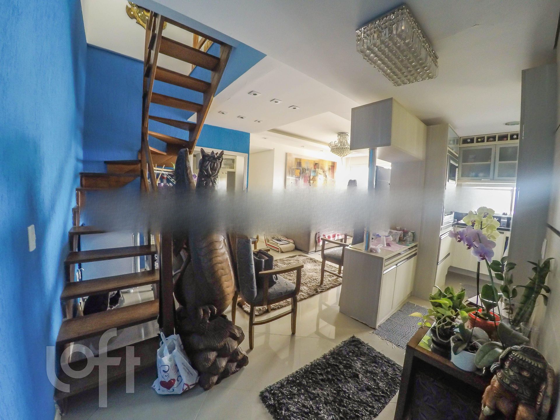 Imagem da propriedade 3